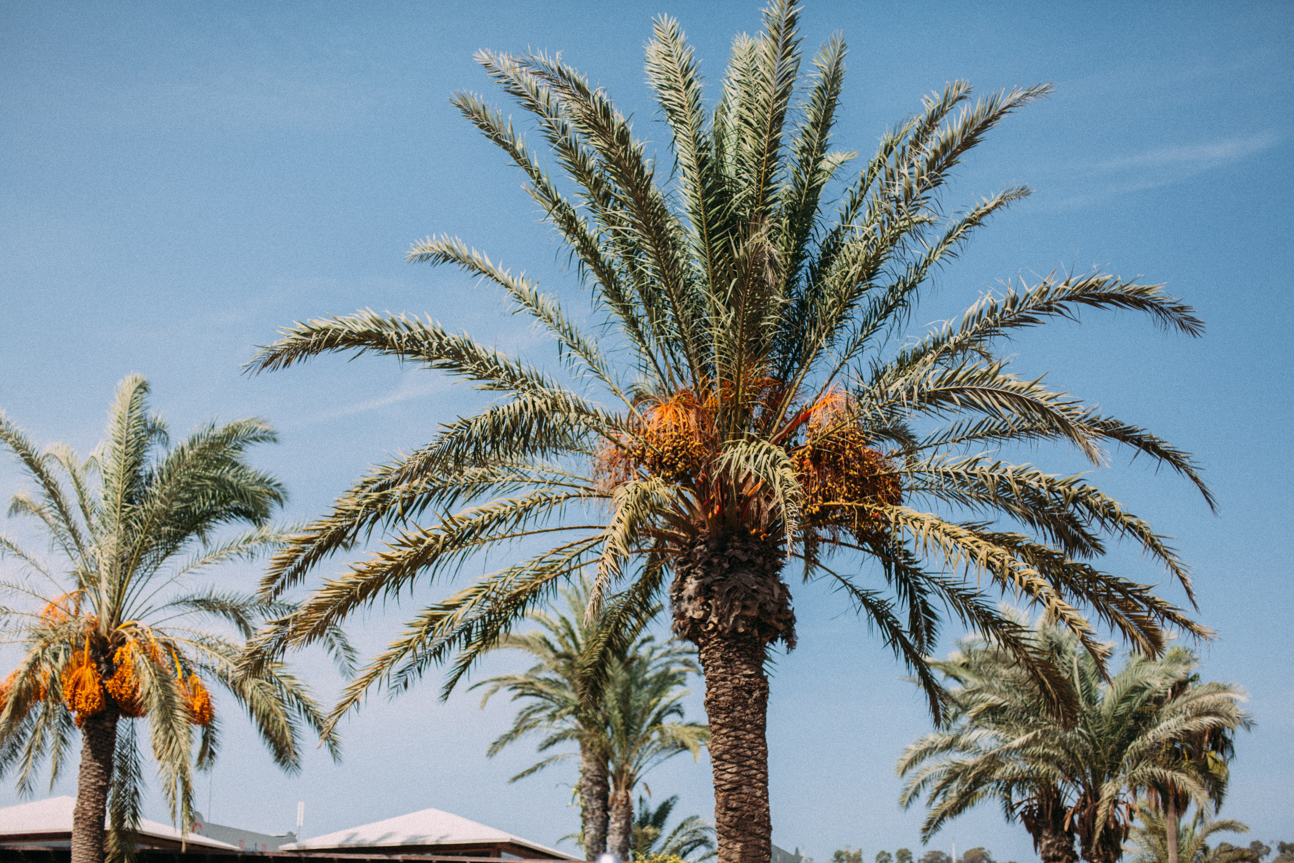 Кипр. Аня Степанова