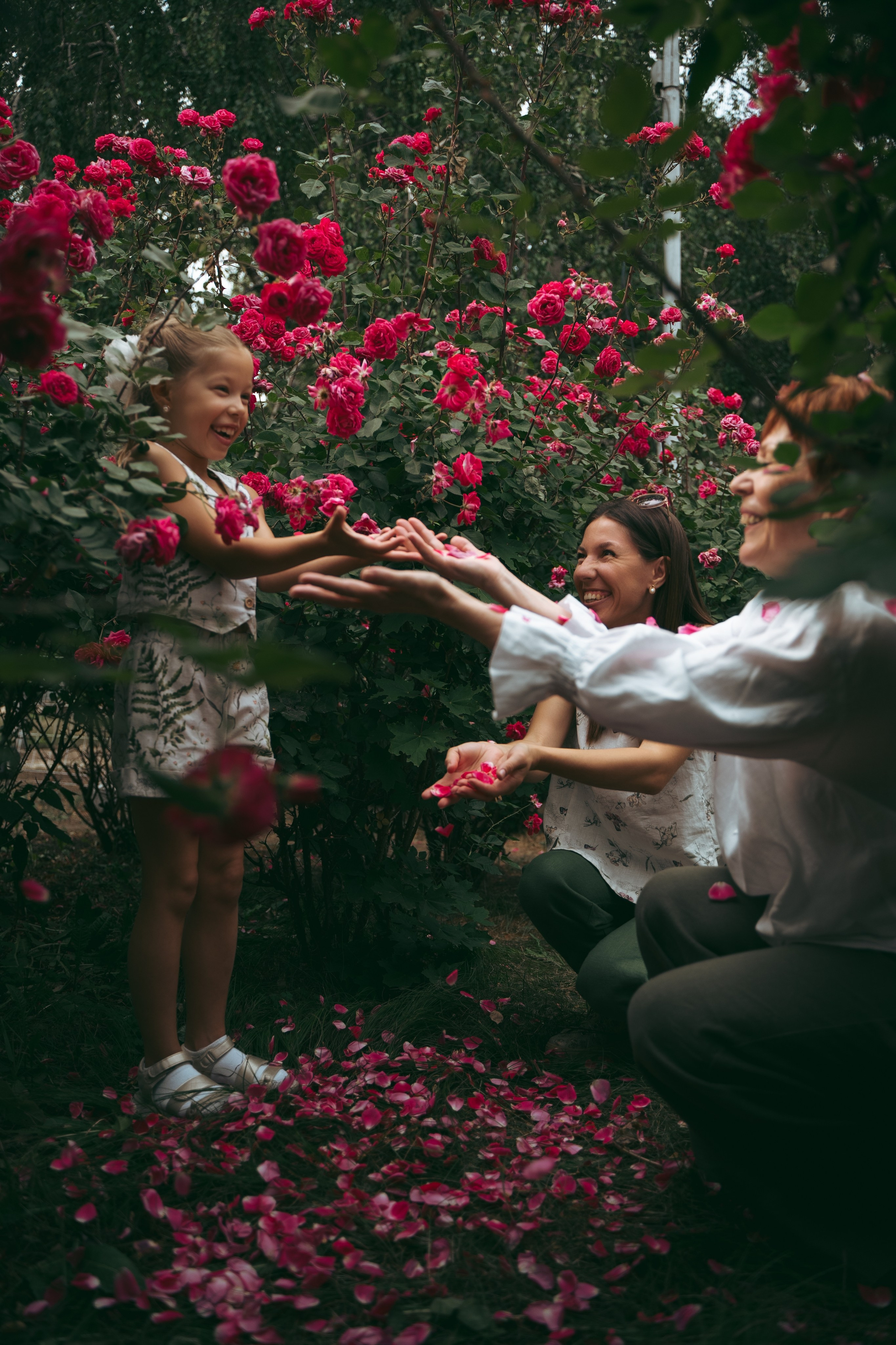 Розы. Фотограф Мария Зайчик