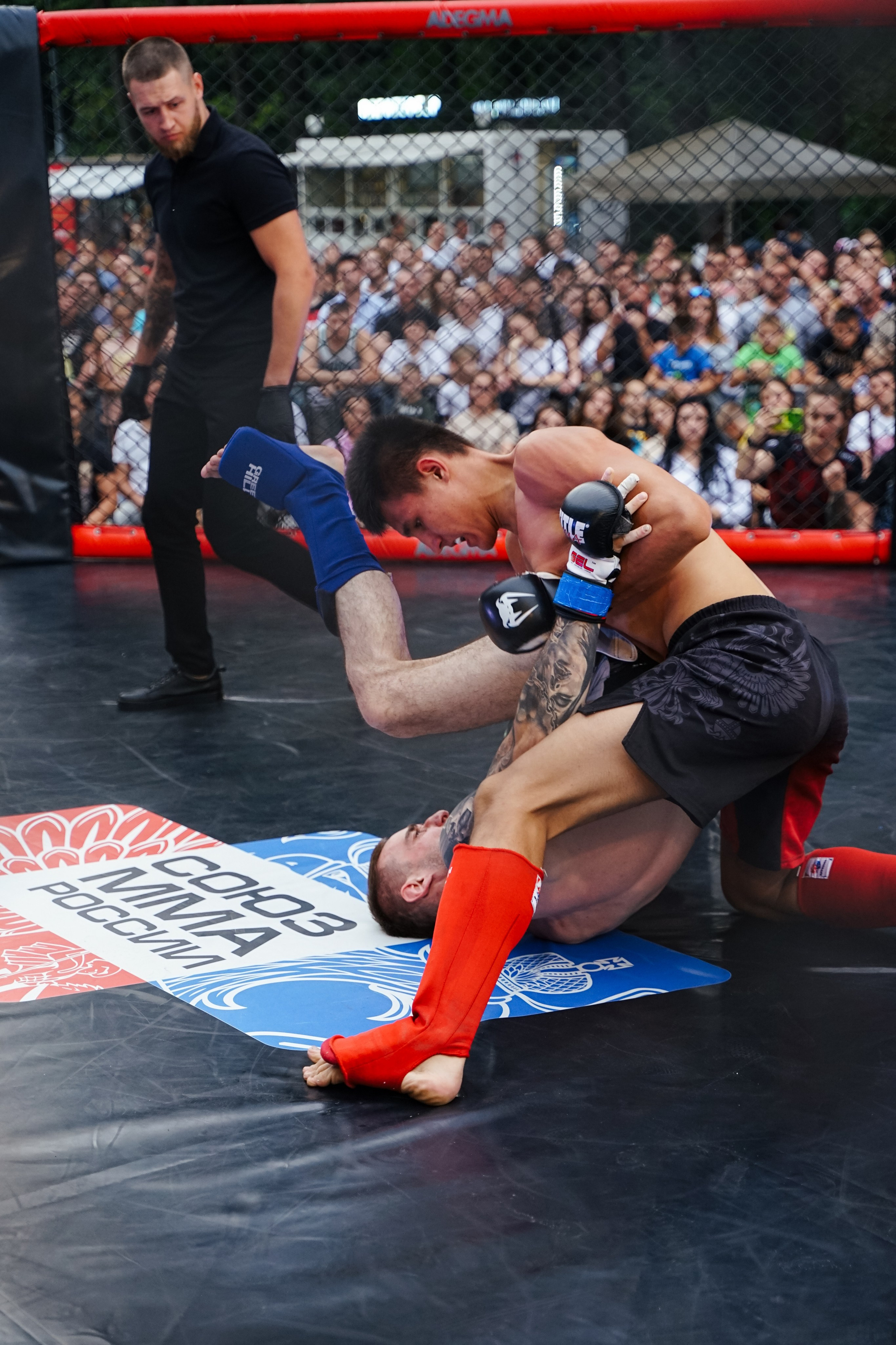 Вечер боев в ЦПКиО. Фотограф Надежда Погребняк | Рязань | Москва