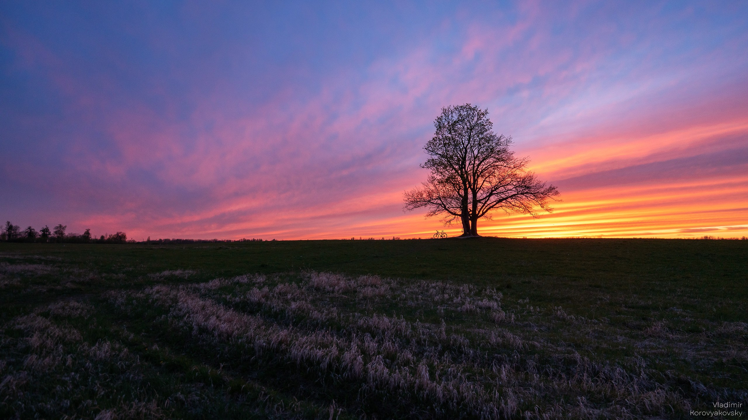 Nature. Photographer Vladimir Korovyakovsky