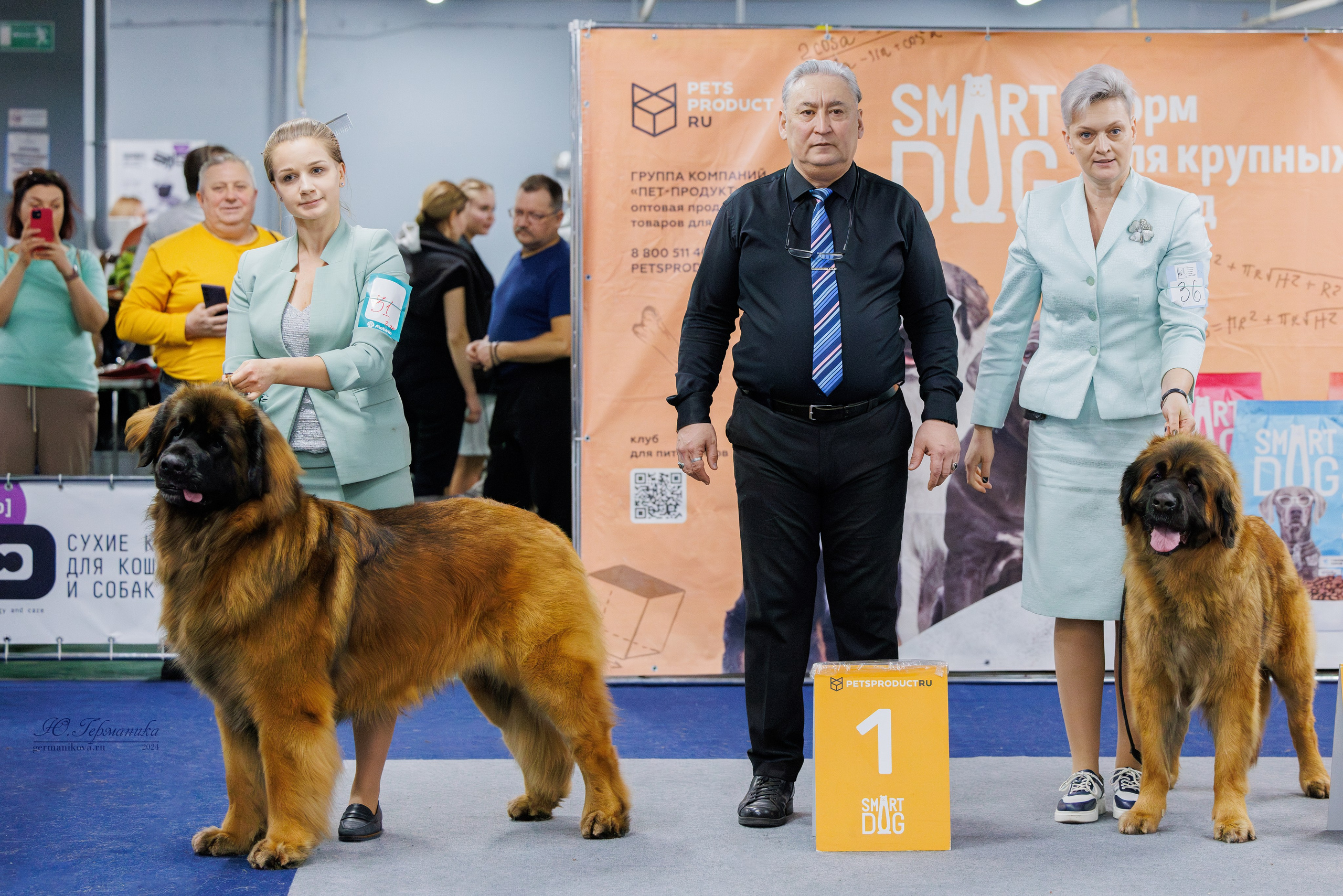 Крокус 21.12.2024,Сфера 29.12.2024. Фотограф-анималист Юлия Германика