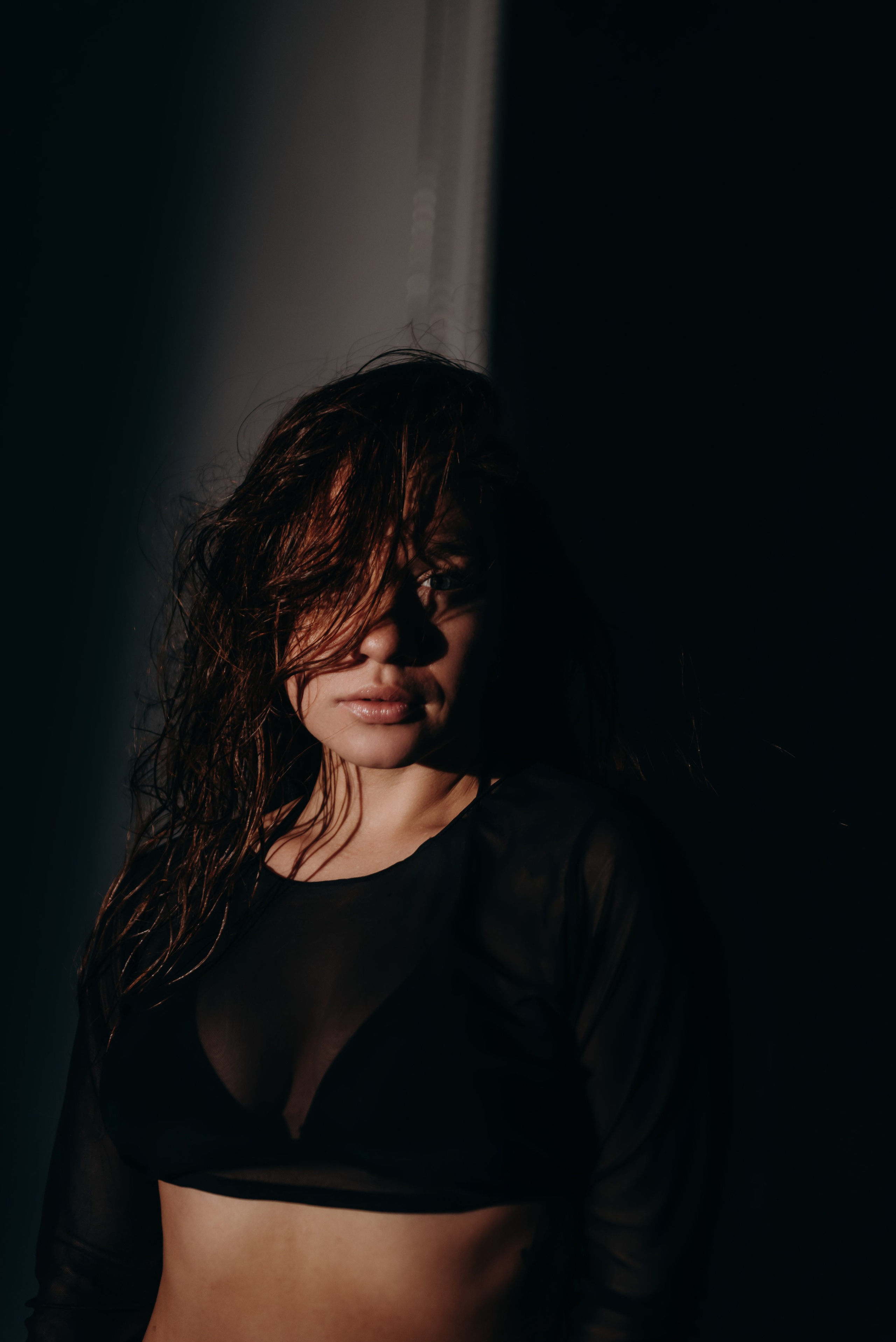 Загадочная лиса. Фотограф Алена Нормальная в Санкт-Петербурге