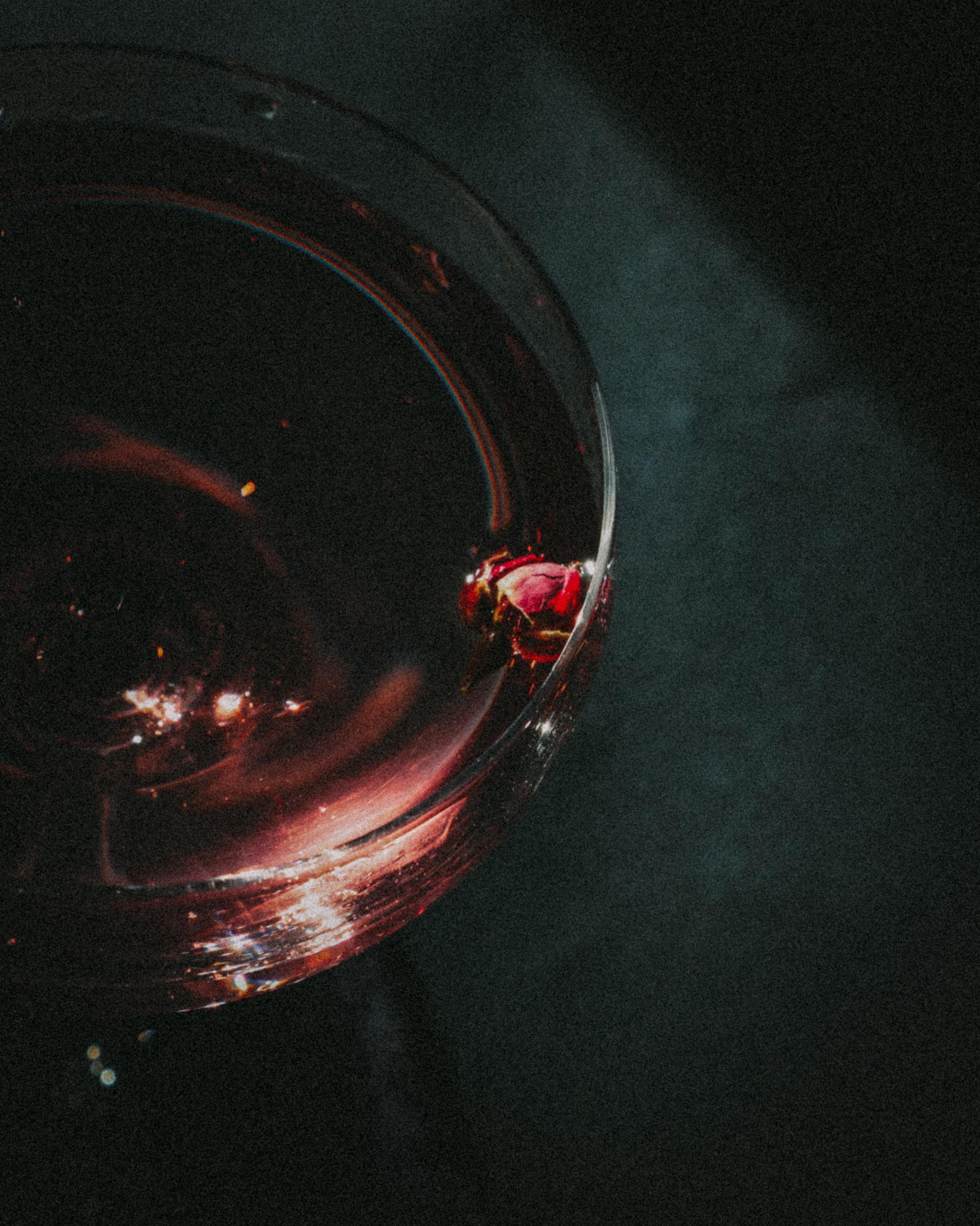 «У вас горизонст завален» 2021–2022 гг или с чего всё начиналось. Контент-фотограф Калининград АНАСТАСИЯ ТКАЧЕВА