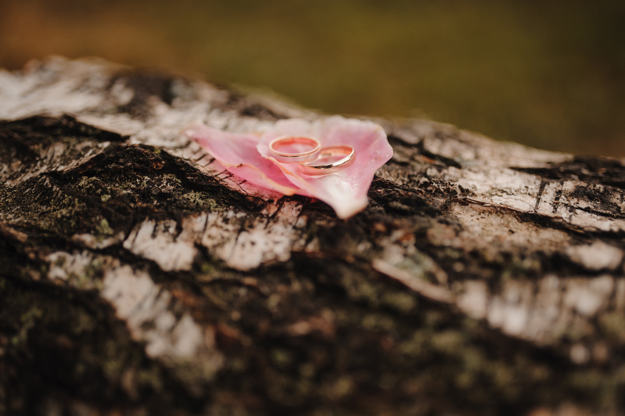 Рустам и Ольга. Дмитрий Черяник свадебный и семейный фотограф