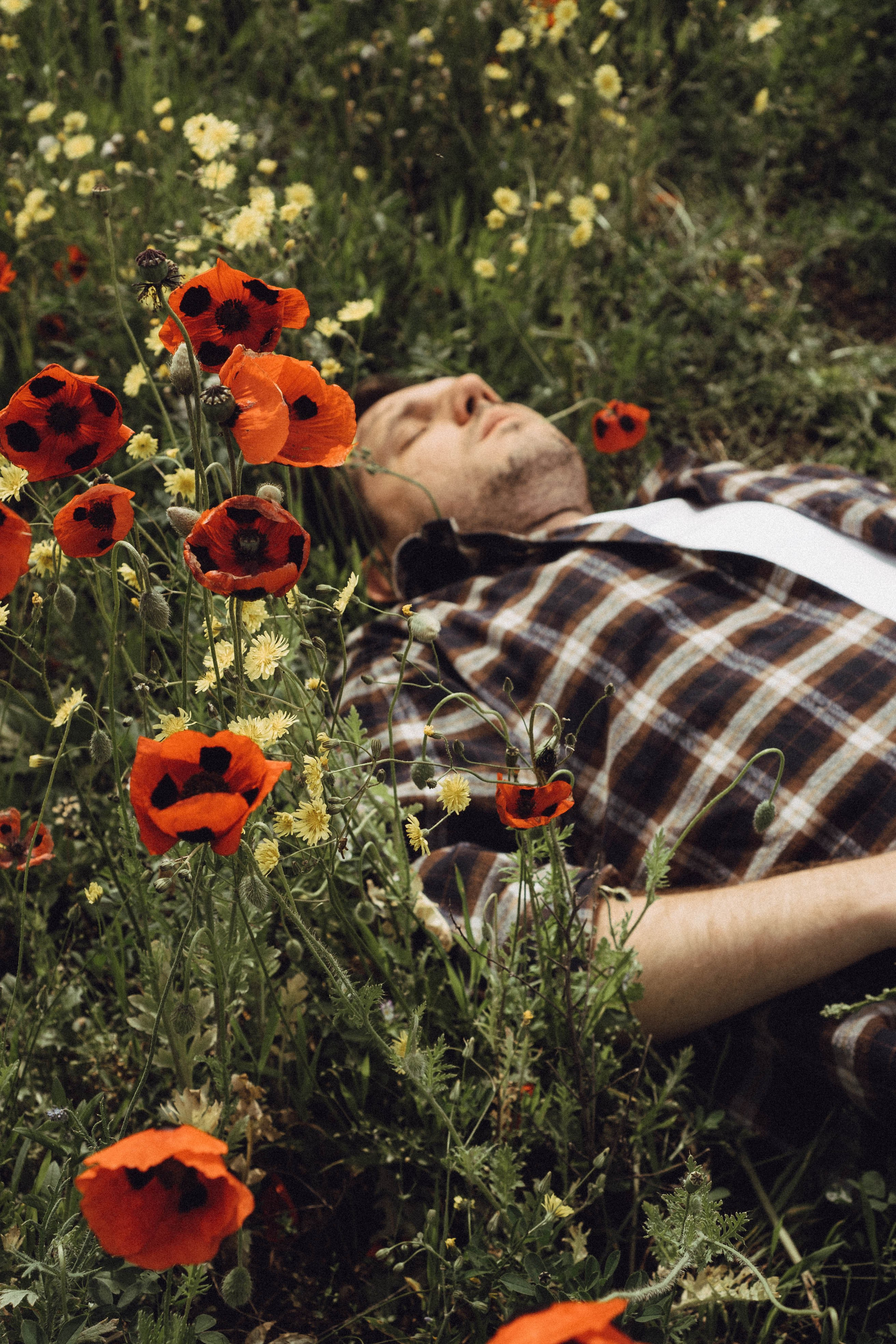 Маки. Профессиональный фотограф, Санкт-Петербург — Виктория Богомолова