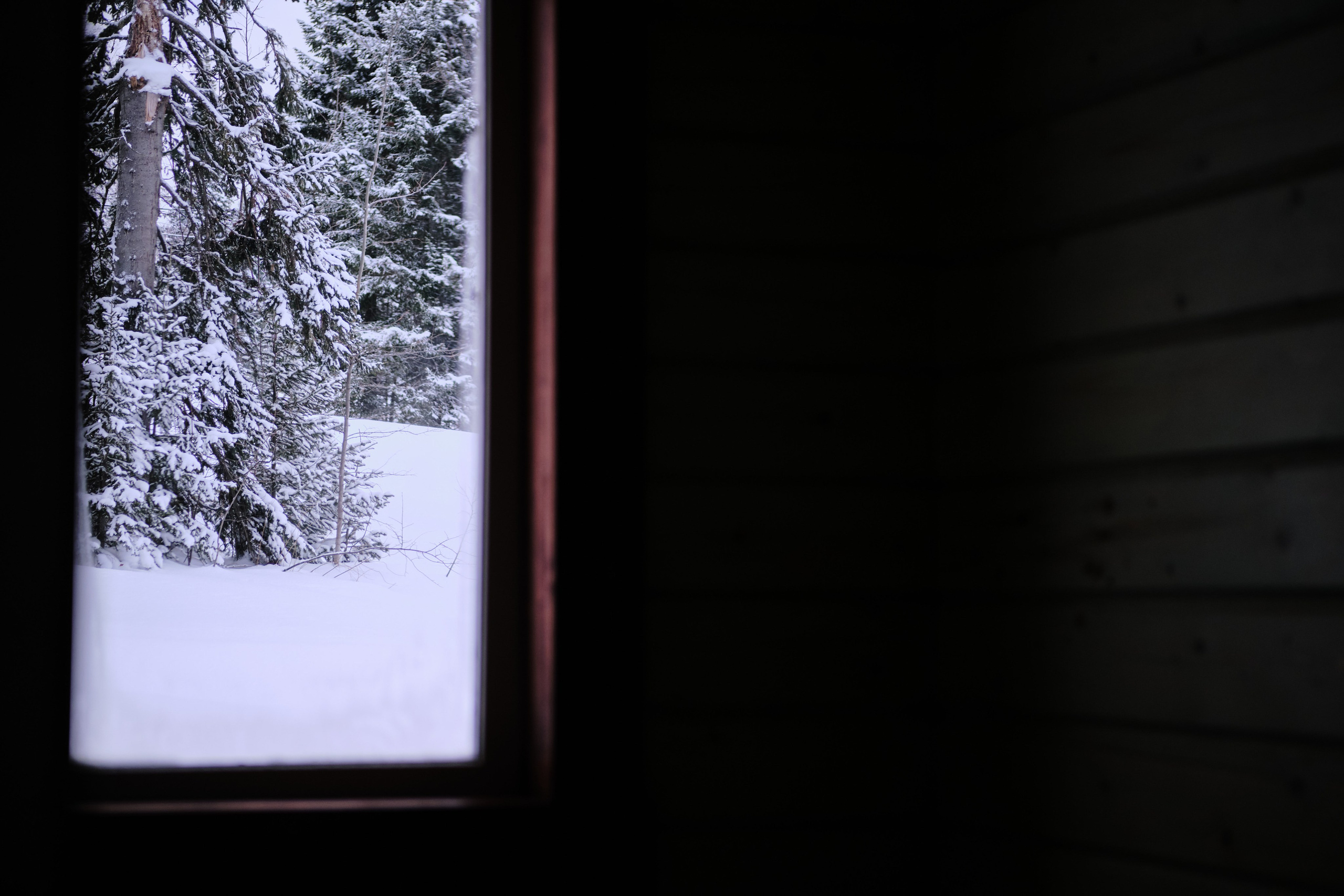 Цветочная ½. Свадебный и семейный фотограф в Новокузнецке Иван Иванов