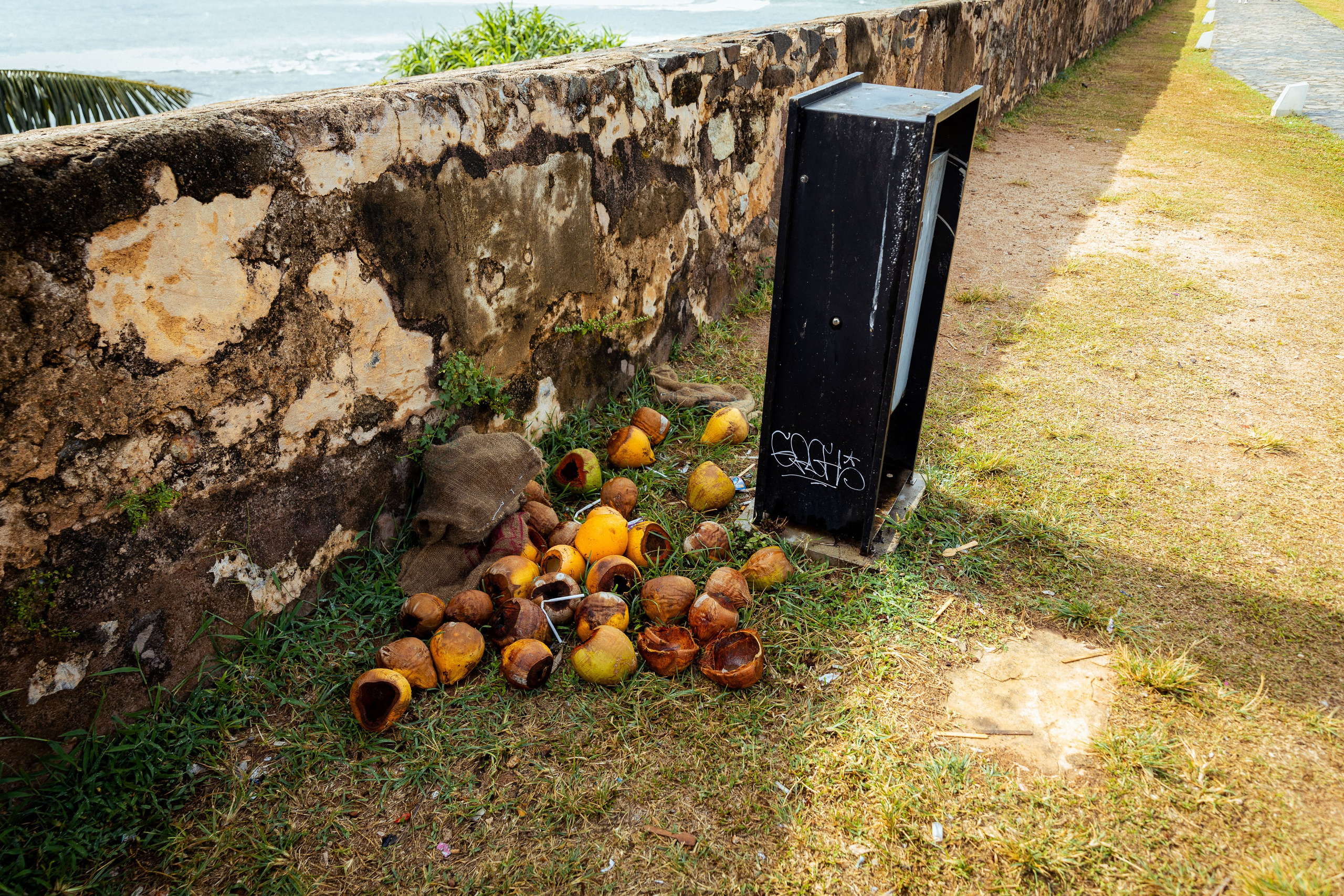 Шри-Ланка (весна 2024). Фотограф Виноградов Константин