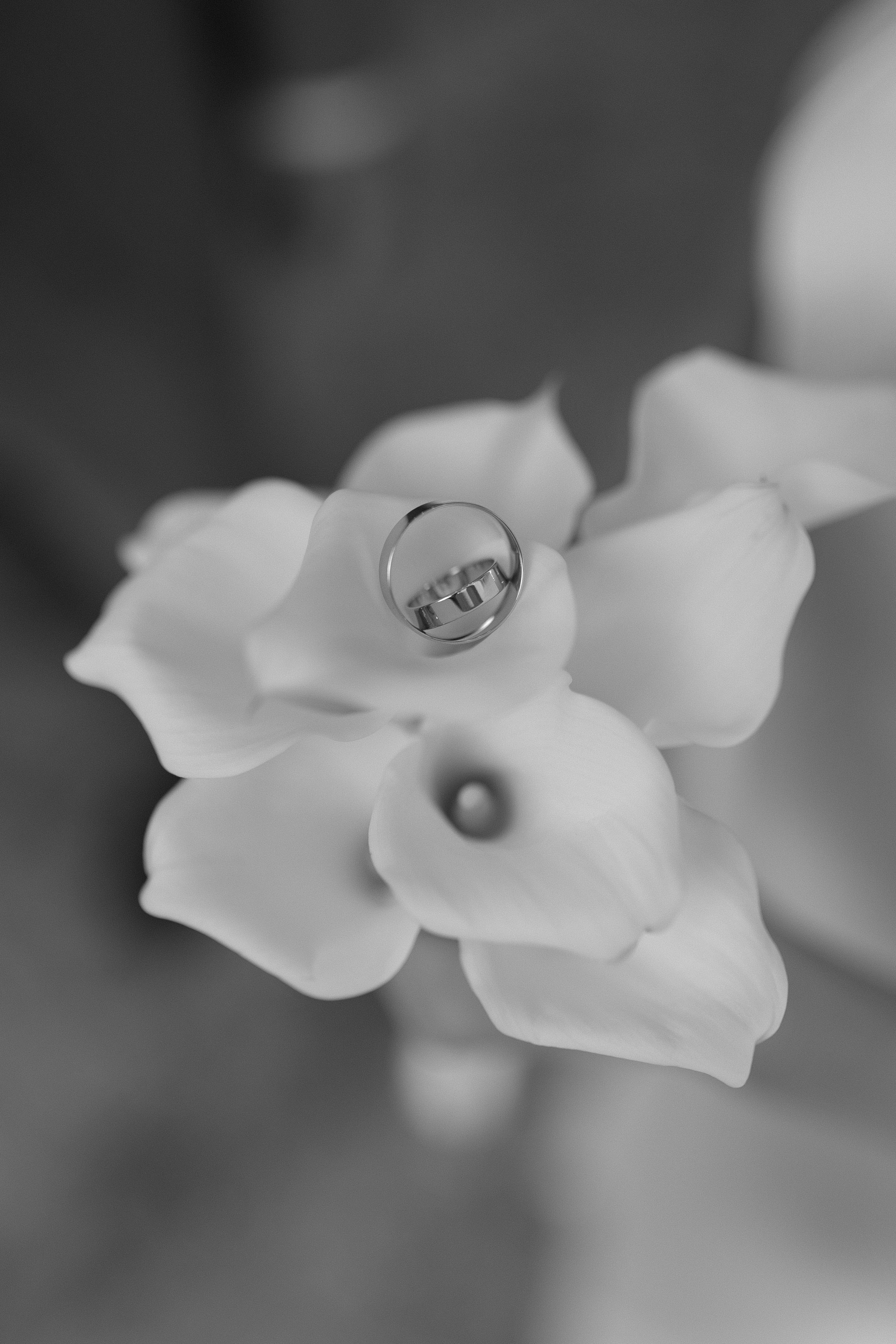 Яков и Вероника. Фотограф Тюмень Пушковская Кристина