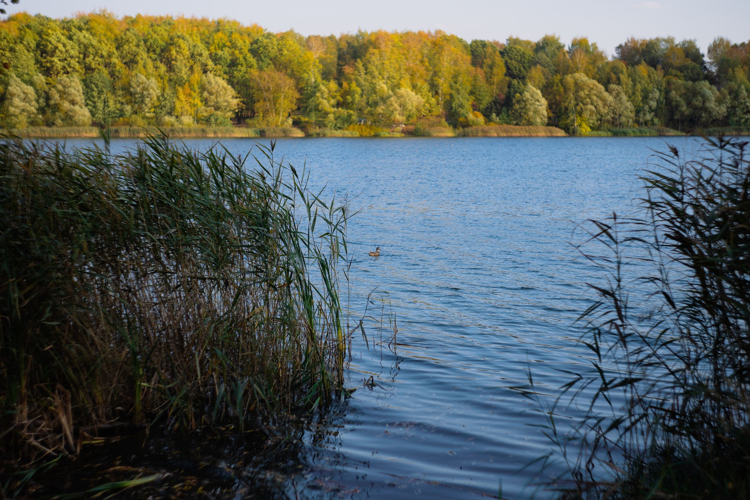 Сентябрь 2023. Efremovaphoto.ru