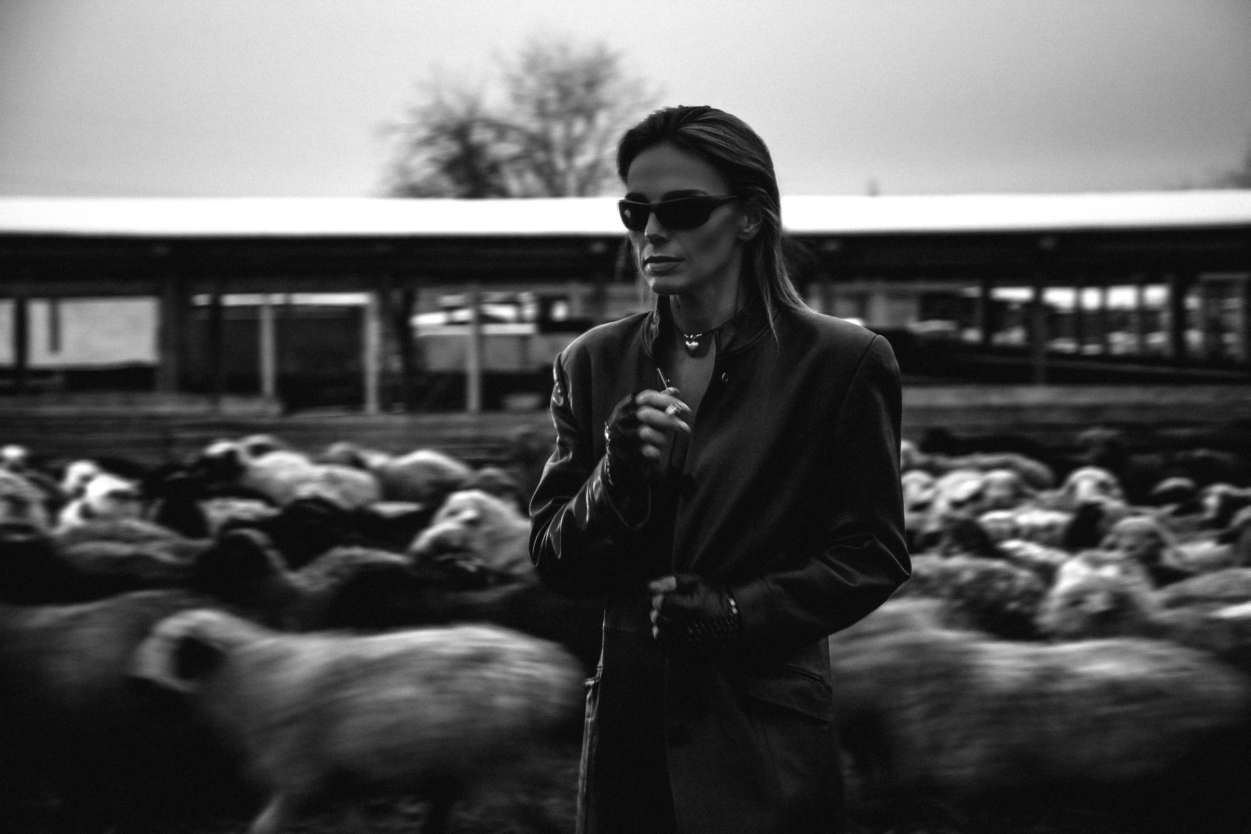 Фэшн задумка в загоне с овцами и брутальном образе Казань