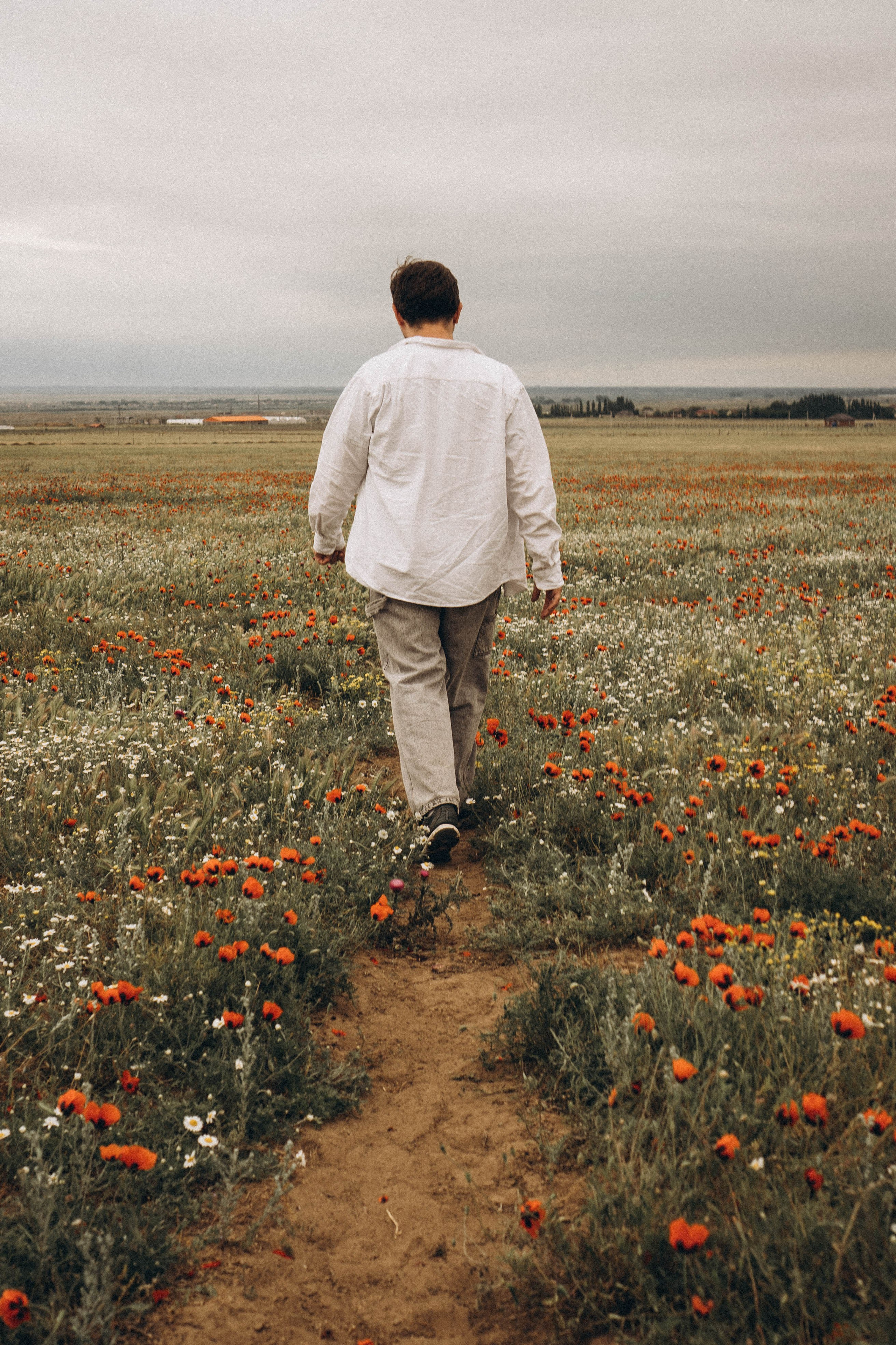 Маки. Профессиональный фотограф, Санкт-Петербург — Виктория Богомолова