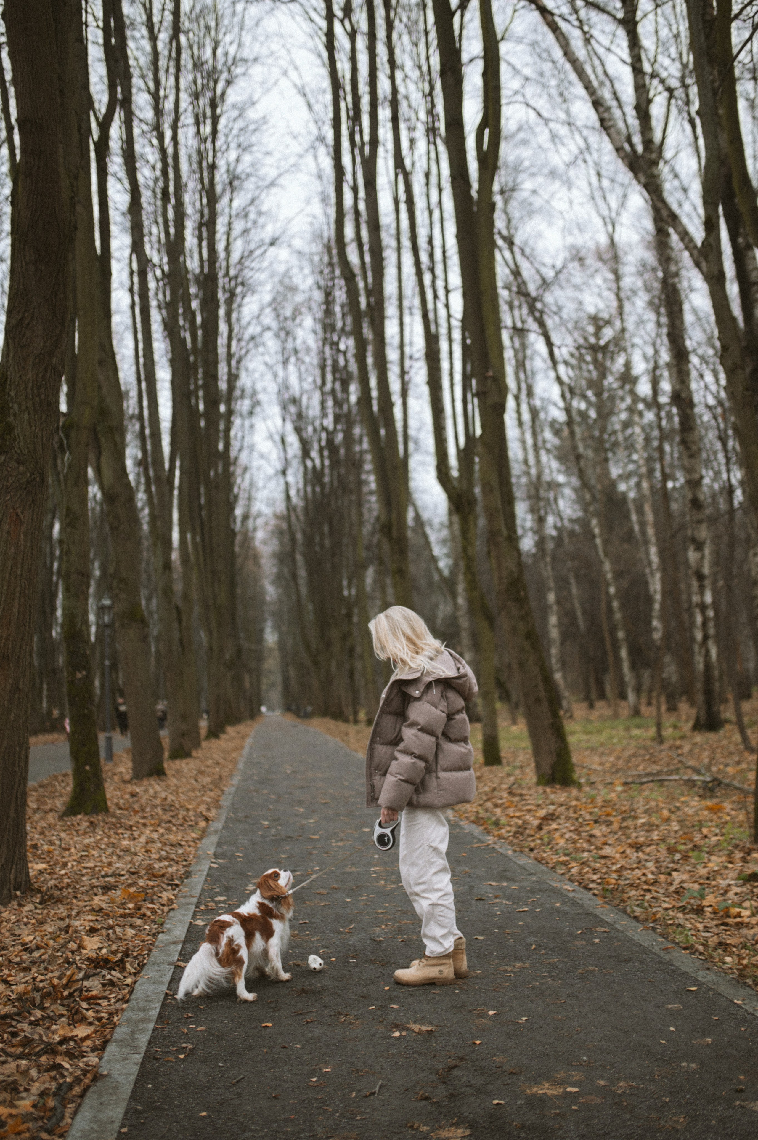 Настя и Тэйлор. Фотограф анималист в Москве Ольга Агушева