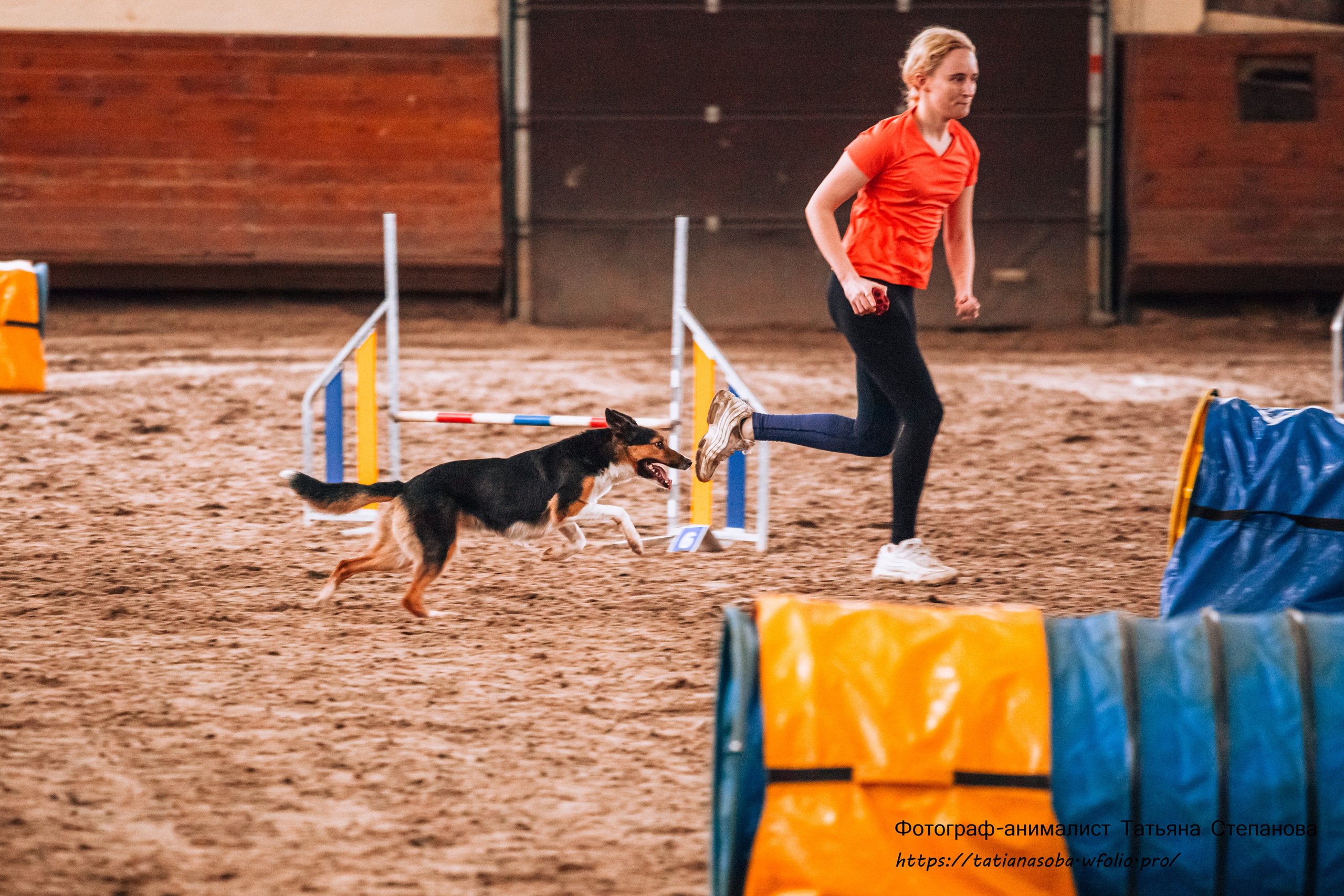 Соревнования по Аджилити 25.02.2024. Фотограф-анималист Татьяна Степанова