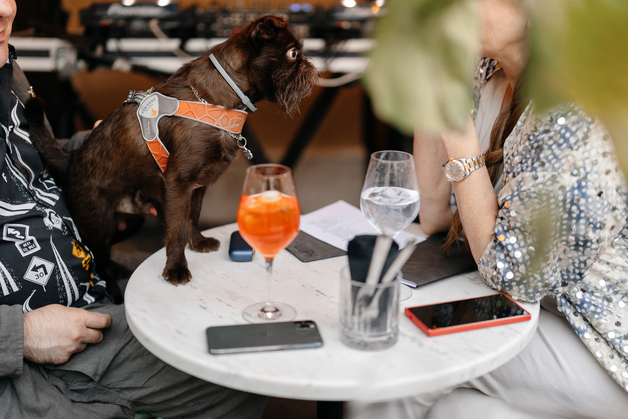 ГастроБистро Цирк. Свадебный и репортажный фотограф в Москве Андрей Вайман