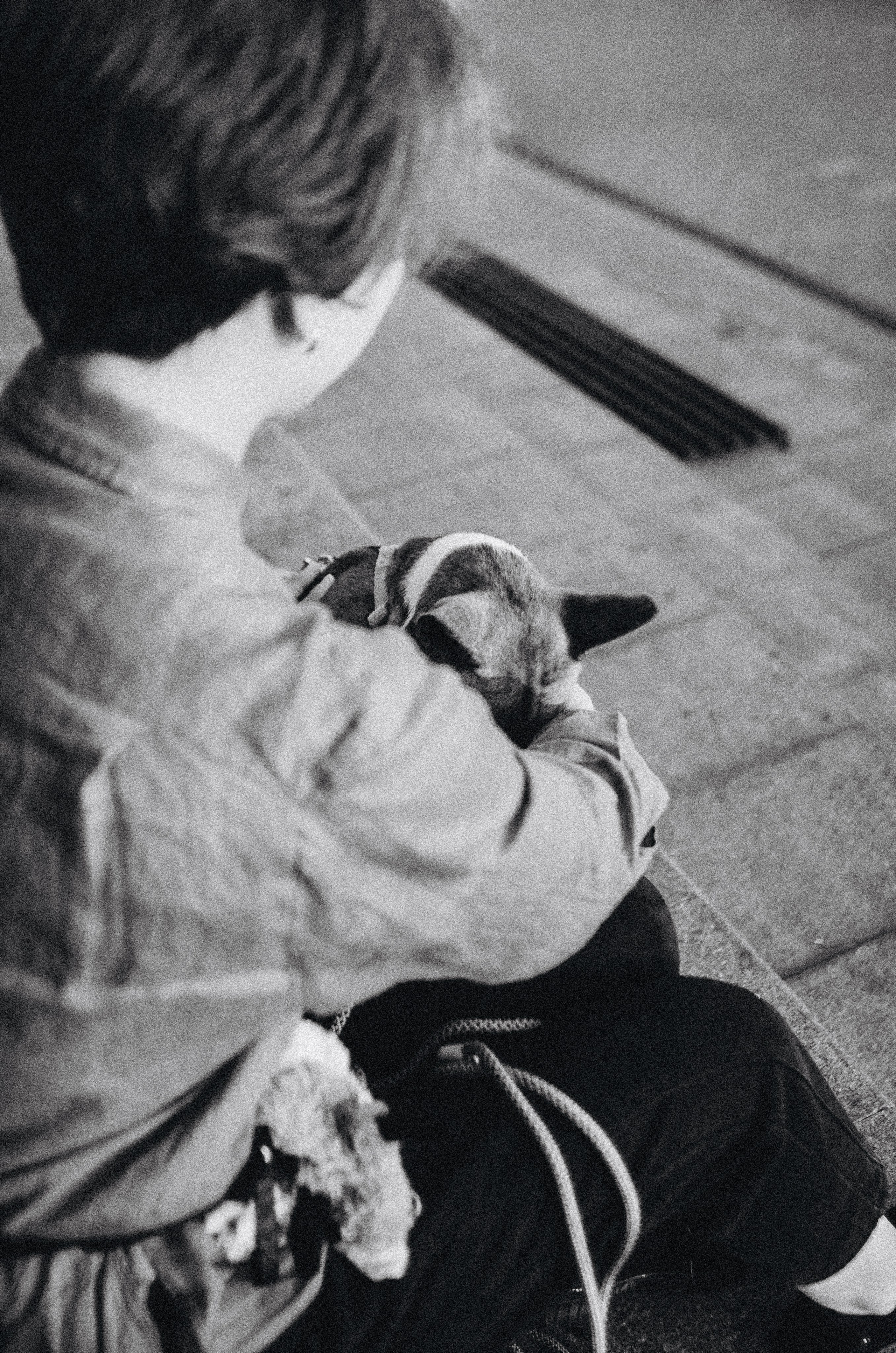 Снежана и Мэнни. Фотограф-анималист Богданова Полина