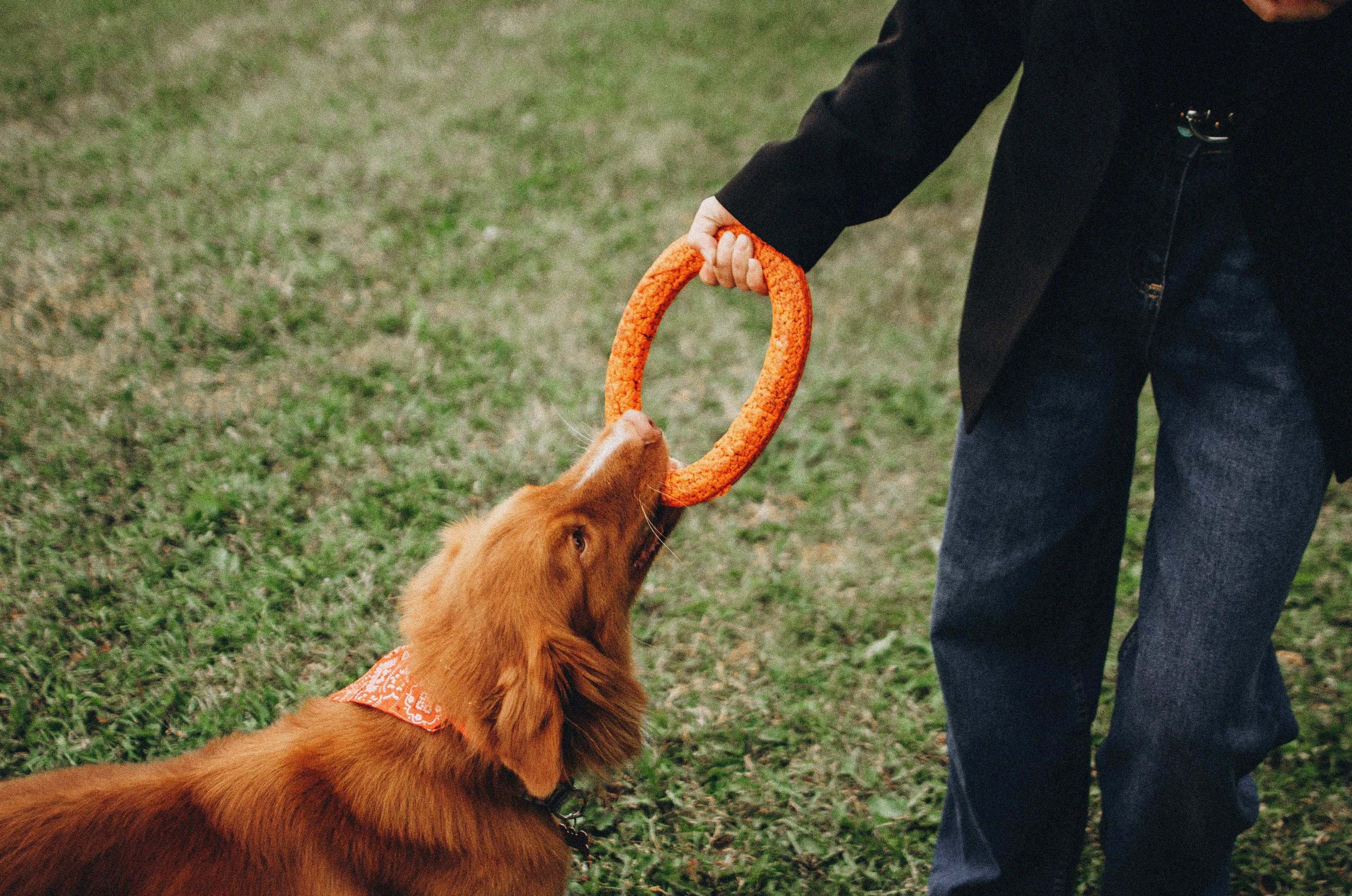 Алина и Бис. Фотограф-анималист Богданова Полина