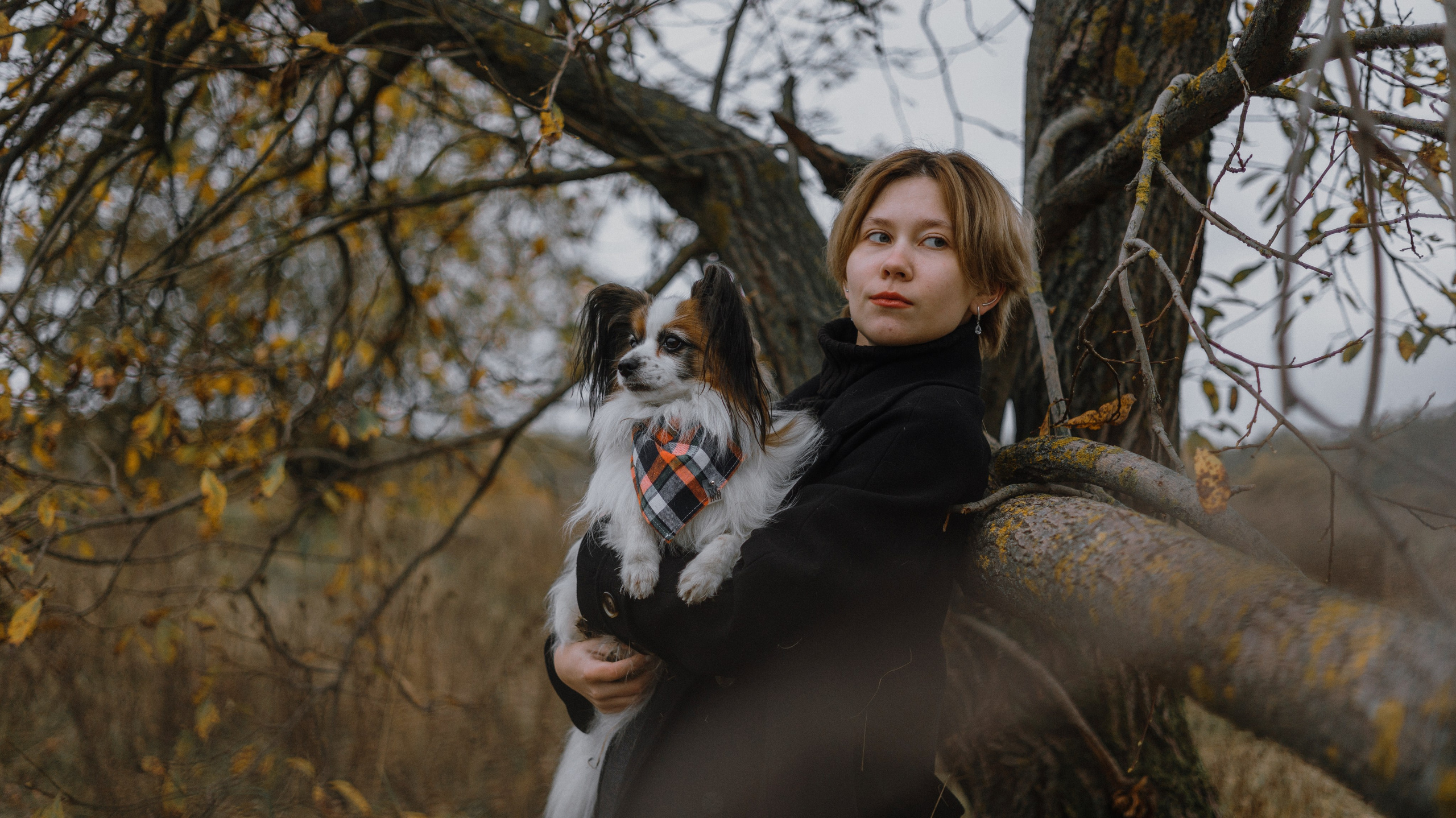 Маша, Катя, Астрид и Мася. Фотограф-анималист Богданова Полина