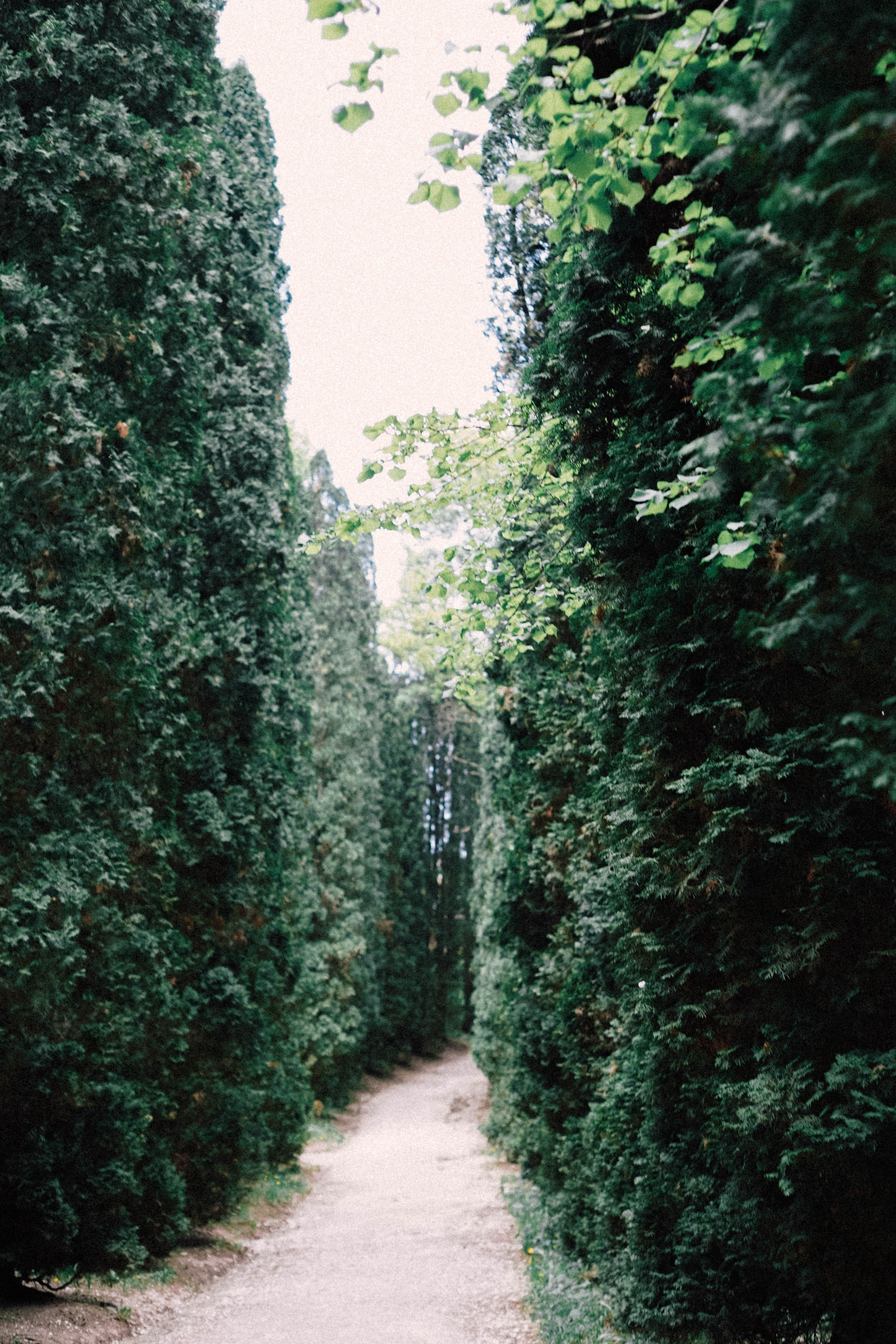 КИСЛОВОДСК. Профессиональный фотограф, Санкт-Петербург — Виктория Богомолова
