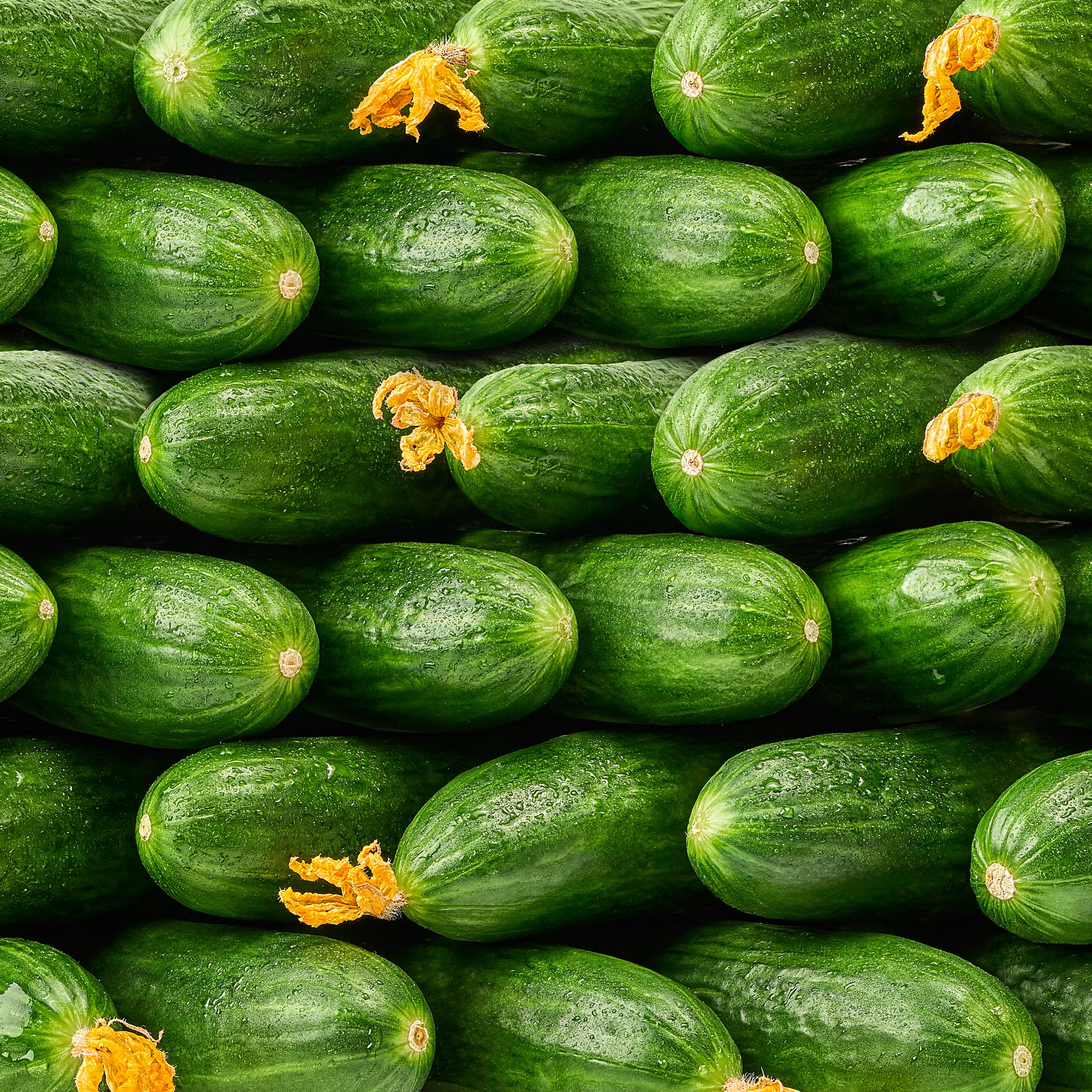 Имиджевый контент. Cheese Food Photo — Предметная и фуд фотосъёмка в Белгороде