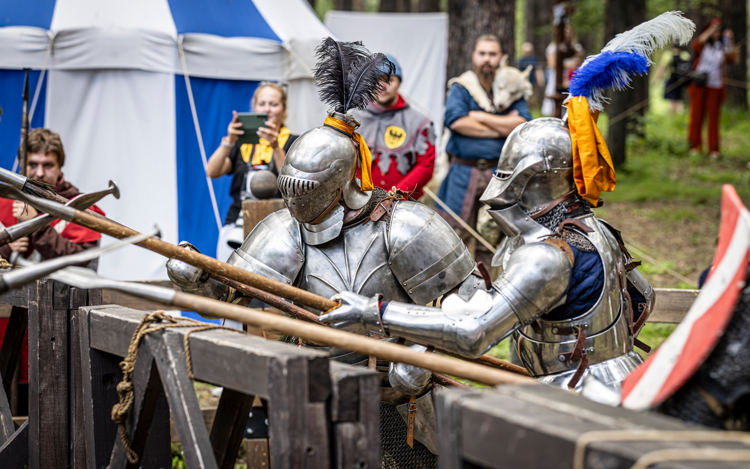 Княжий двор 2024. Bertran Ordo