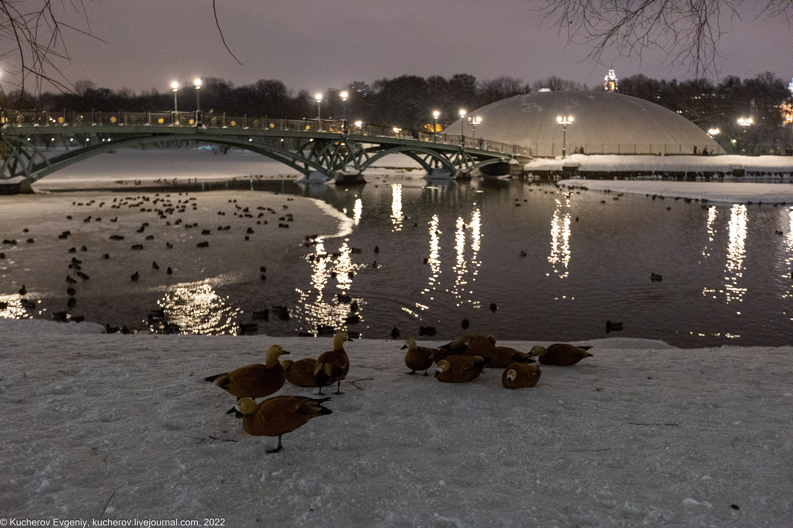 Репортаж. Кучеров Евгений. Фотограф