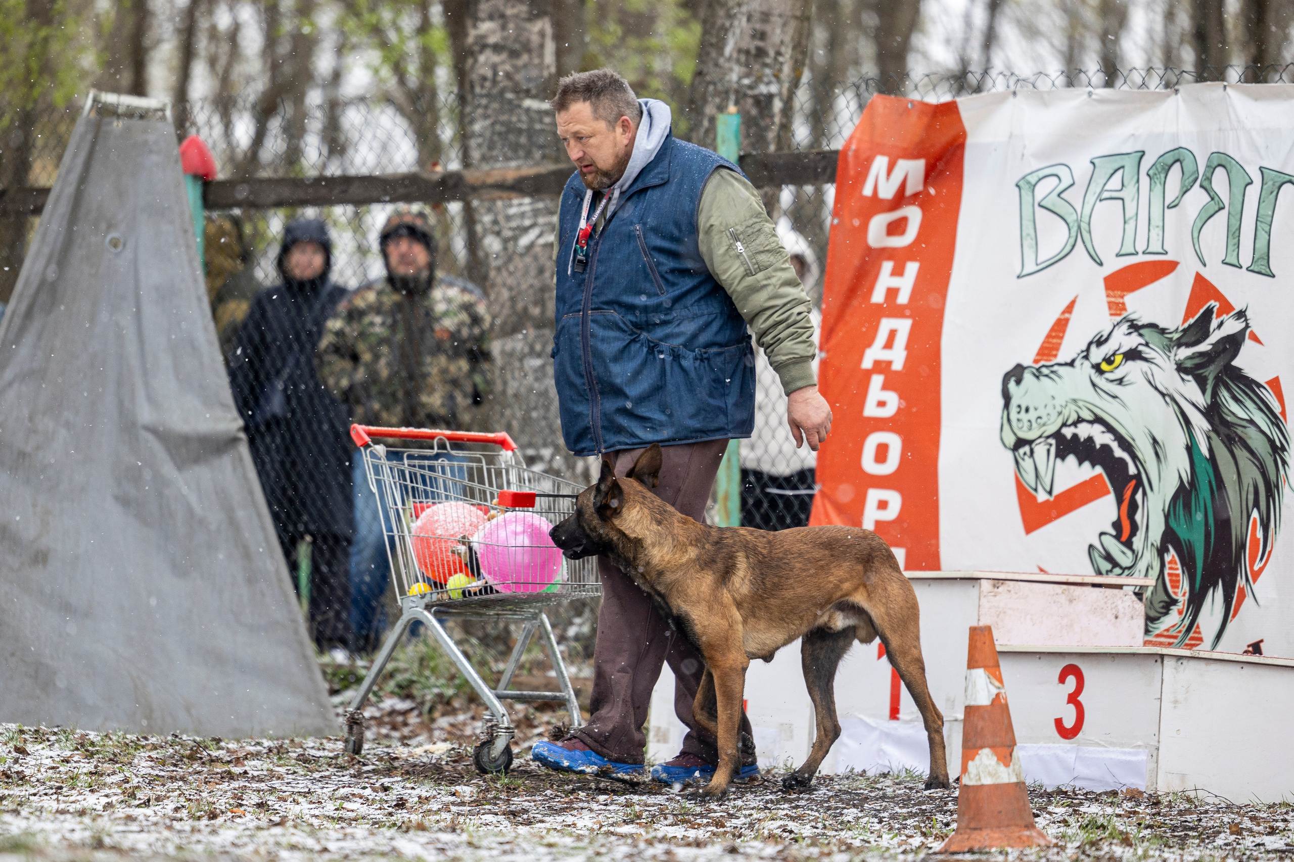 Квалификационные состязания по мондьорингу г. Вологда 11.05.24. Фотограф-анималист Анна Маринич