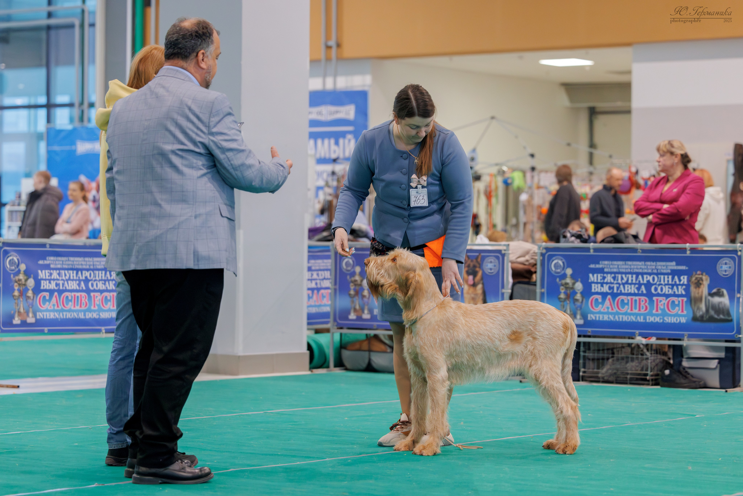 Минск 1-2.03.2025. Фотограф-анималист Юлия Германика