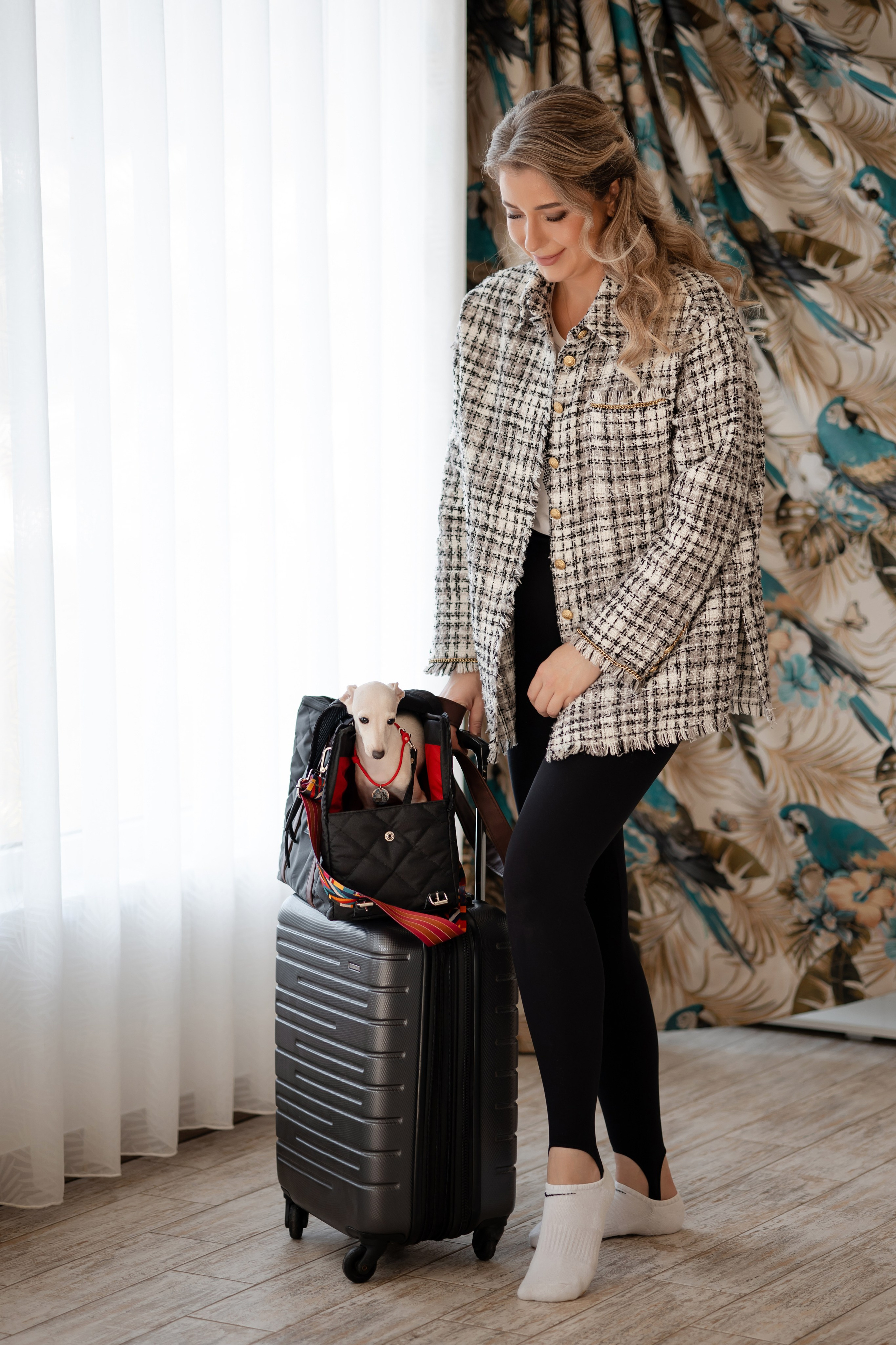 Путешествия. Профессиональный питомник левреток РКФ/FCI ASTI SAPPHIRE 💎 Сочи|Санкт-Петербург