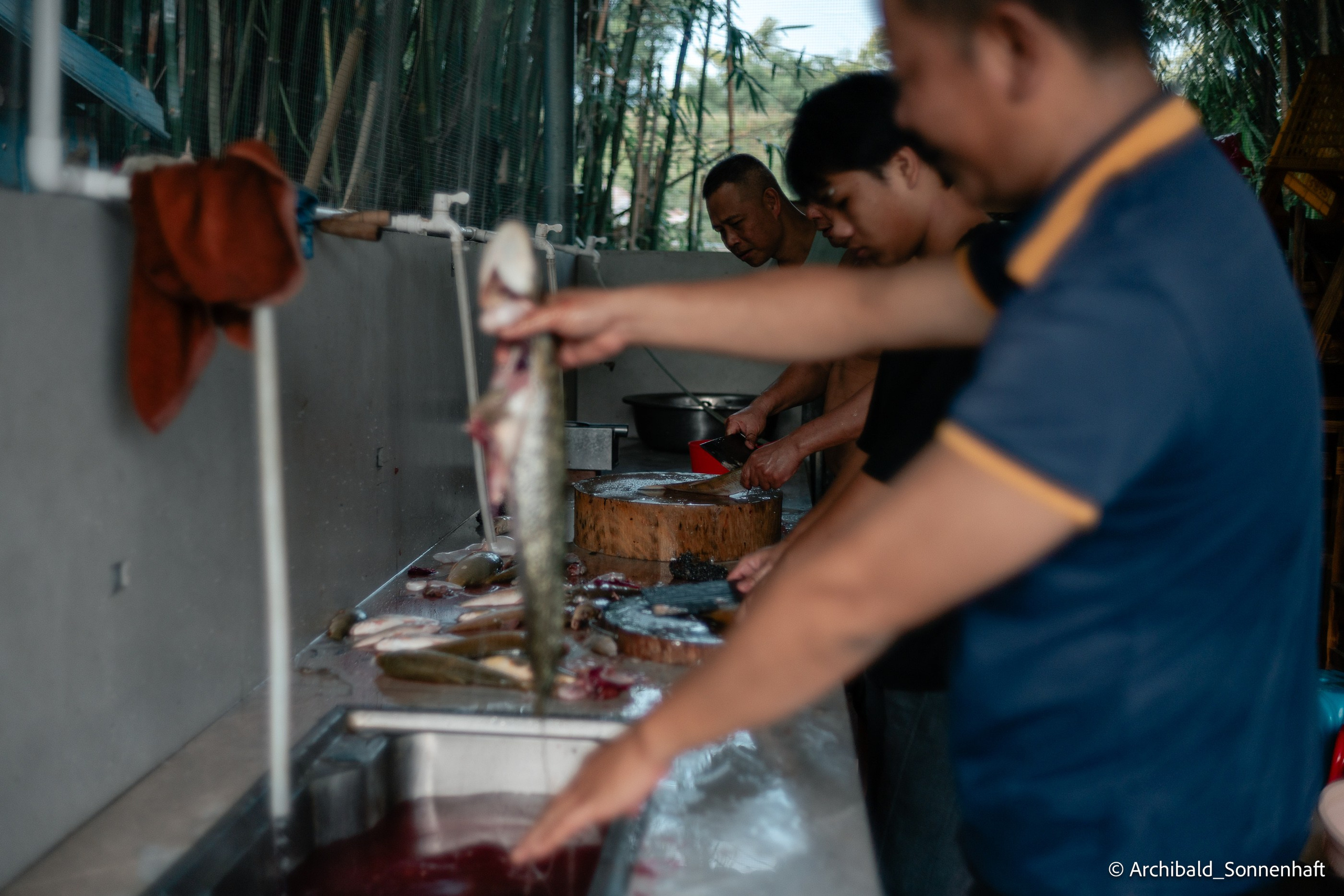 Weekend kayaking trip. Photographer in Guangzhou, China. Archibald Sonnenhaft