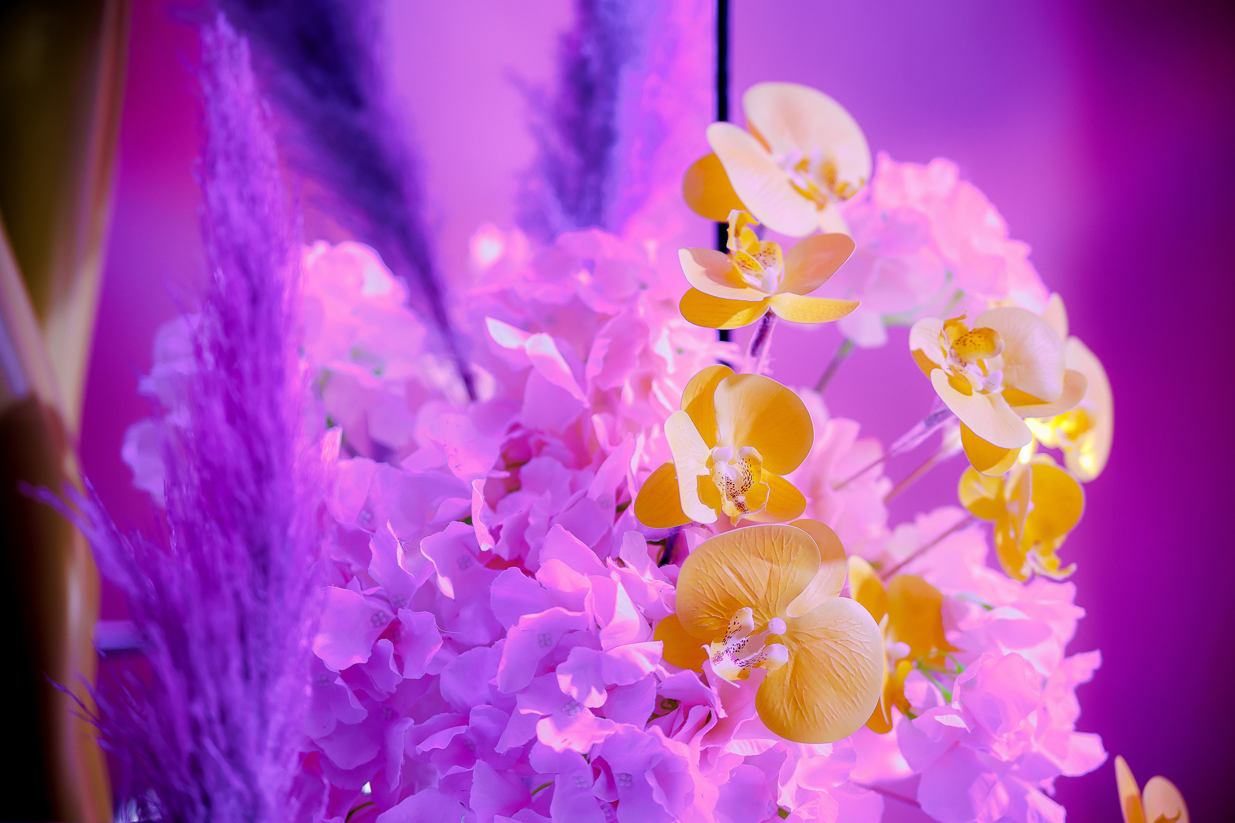 Фотограф на день рождения. Свадебный и репортажный фотограф в Пензе и Москве Алексей Шеин