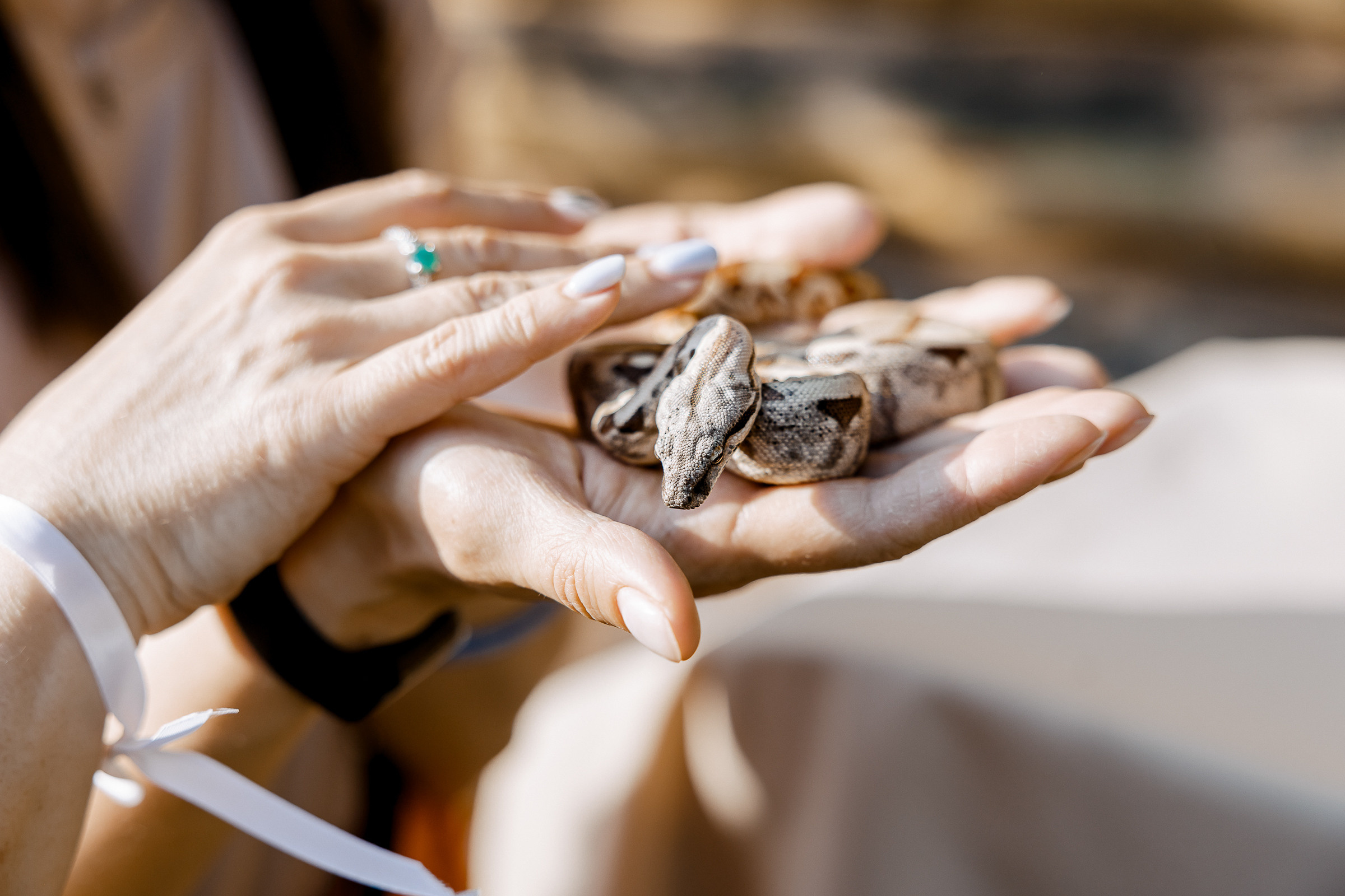 Фотограф на тимбилдинг Пенза. Свадебный и репортажный фотограф в Пензе и Москве Алексей Шеин