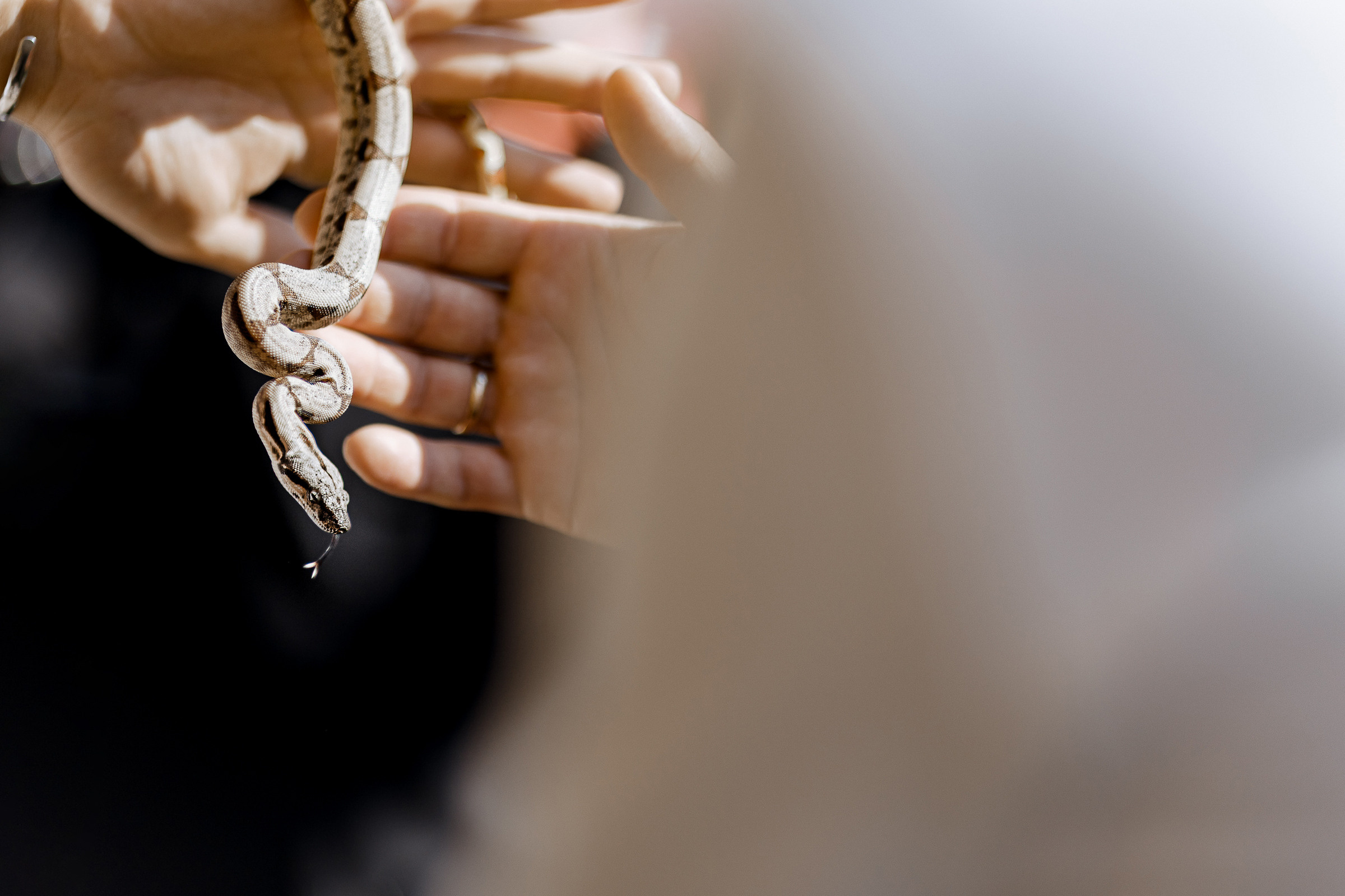 Фотограф на тимбилдинг Пенза. Свадебный и репортажный фотограф в Пензе и Москве Алексей Шеин