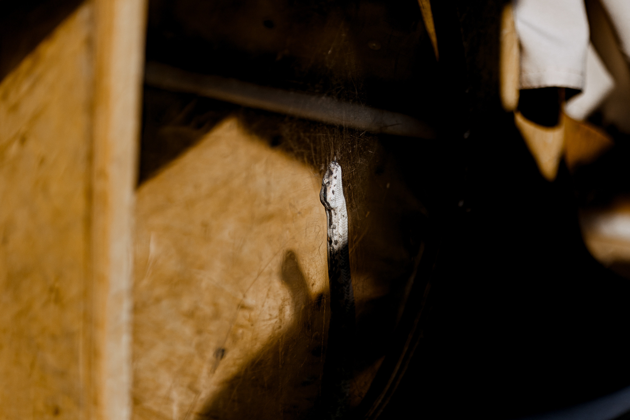 Фотограф на тимбилдинг Пенза. Свадебный и репортажный фотограф в Пензе и Москве Алексей Шеин