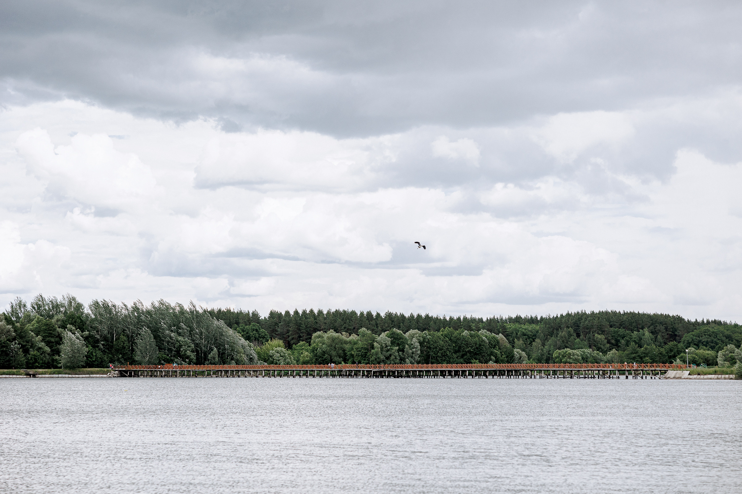 Свадебная вечеринка Москва. Свадебный и репортажный фотограф в Пензе и Москве Алексей Шеин
