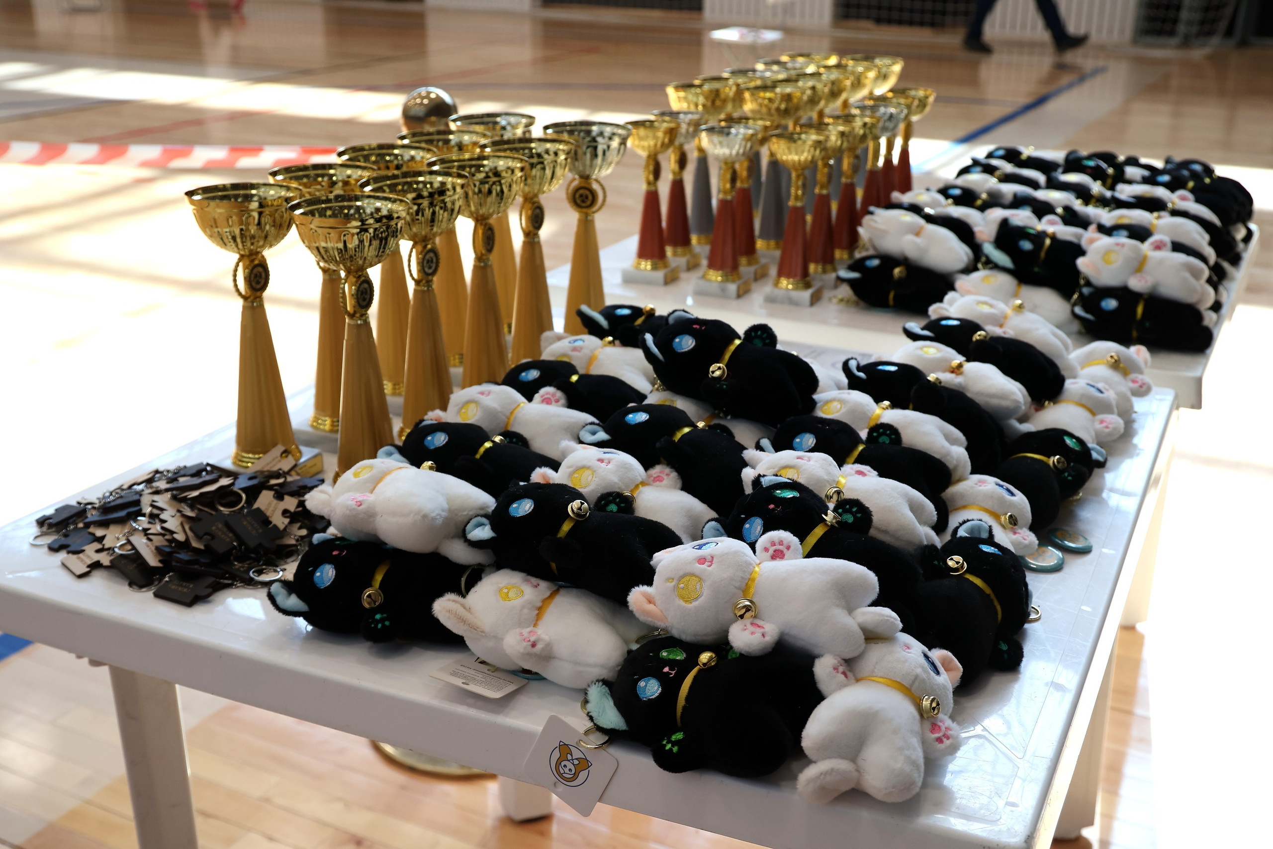 Кубки и подарки на соревнованиях по окинава каратэ (ката) на стадионе Торпедо 31 марта 2024