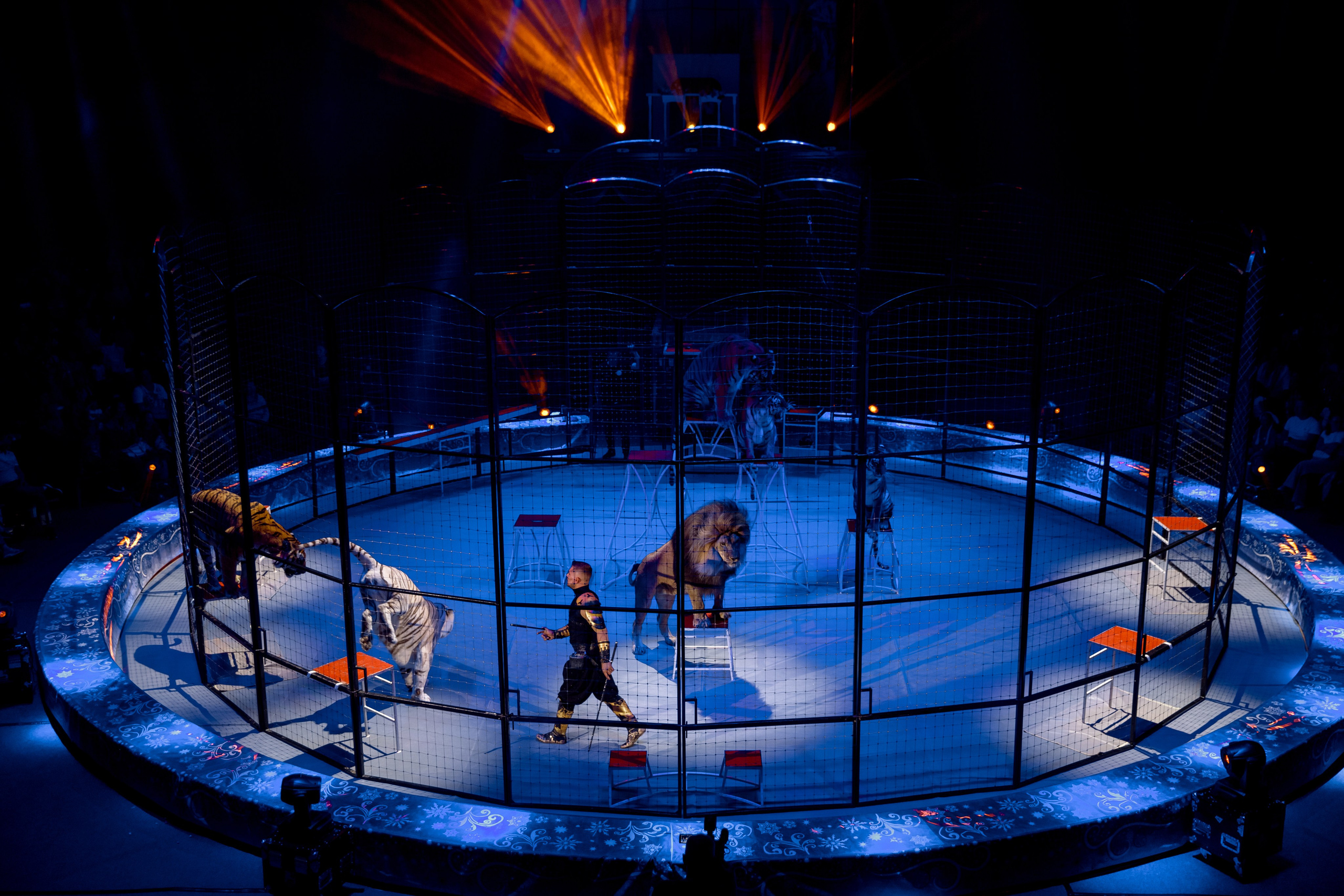 Цирк Moretti в Иркутске. Свадебный фотограф Иркутск, репортажный фотограф Иркутск