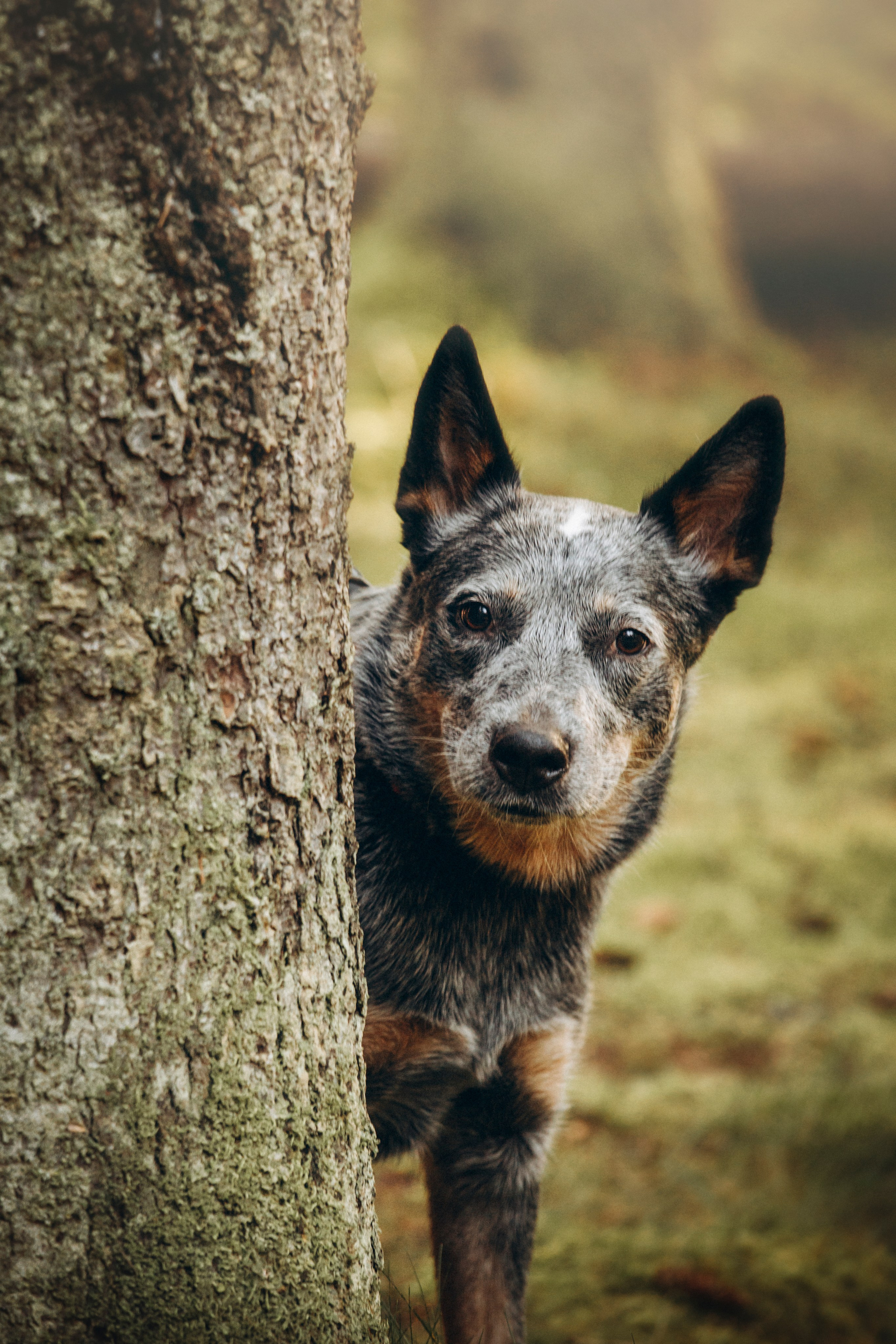 Оля и Мотечка. Фотограф — Анималист | Санкт-Петербург