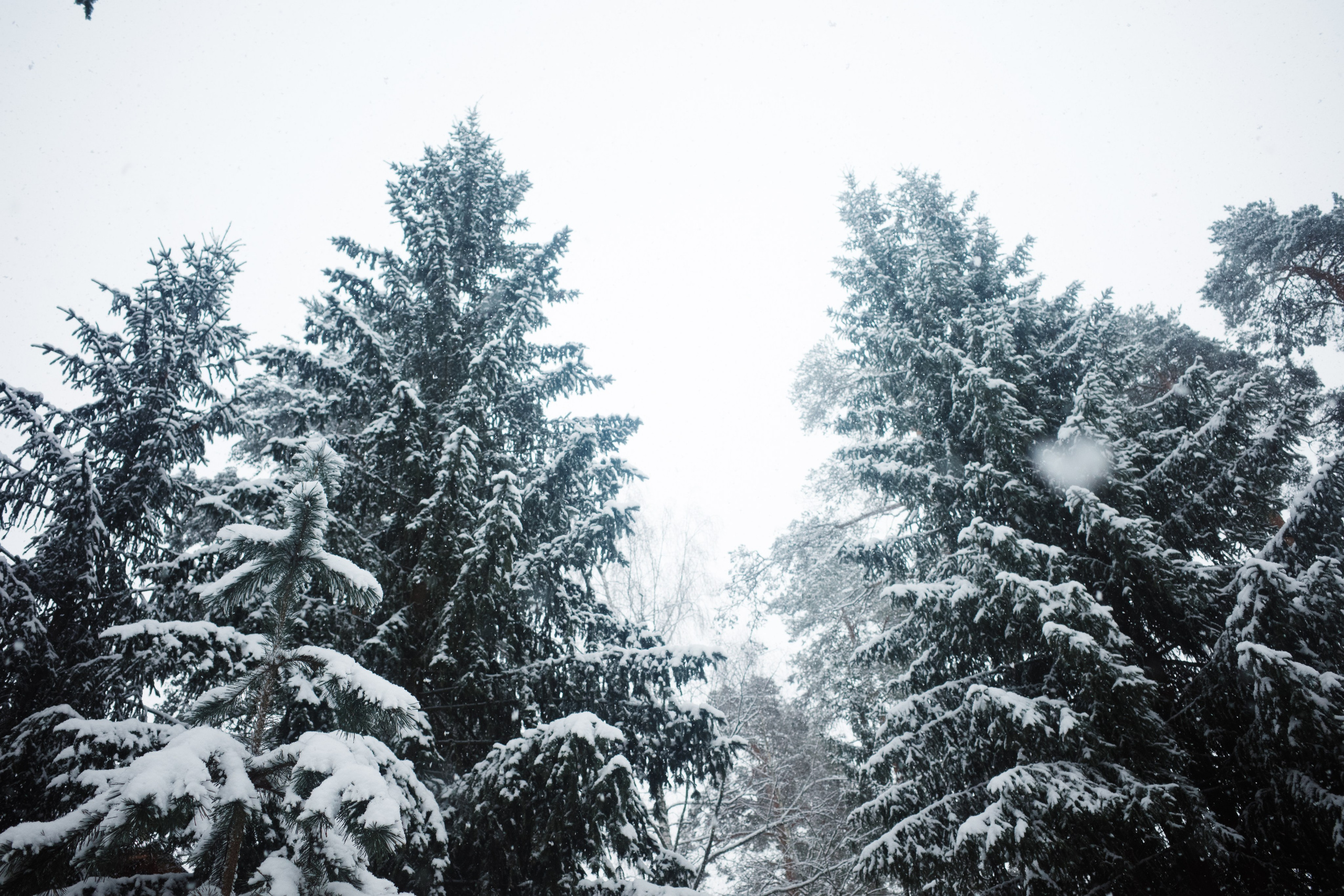 Репортаж. Stanislav Liepa Photography