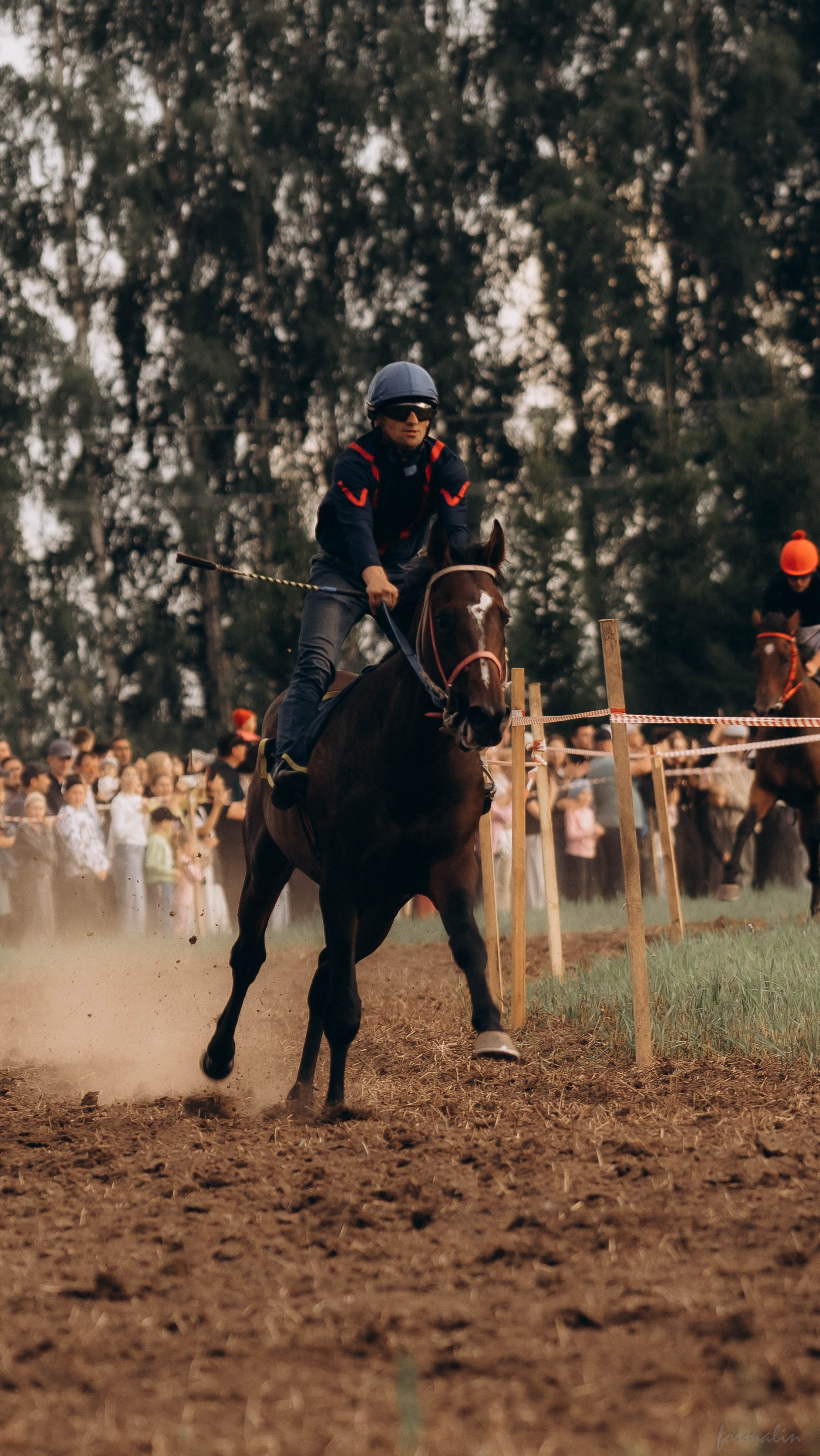 День Коня. Алиса Никитцова | Фотограф в Казани