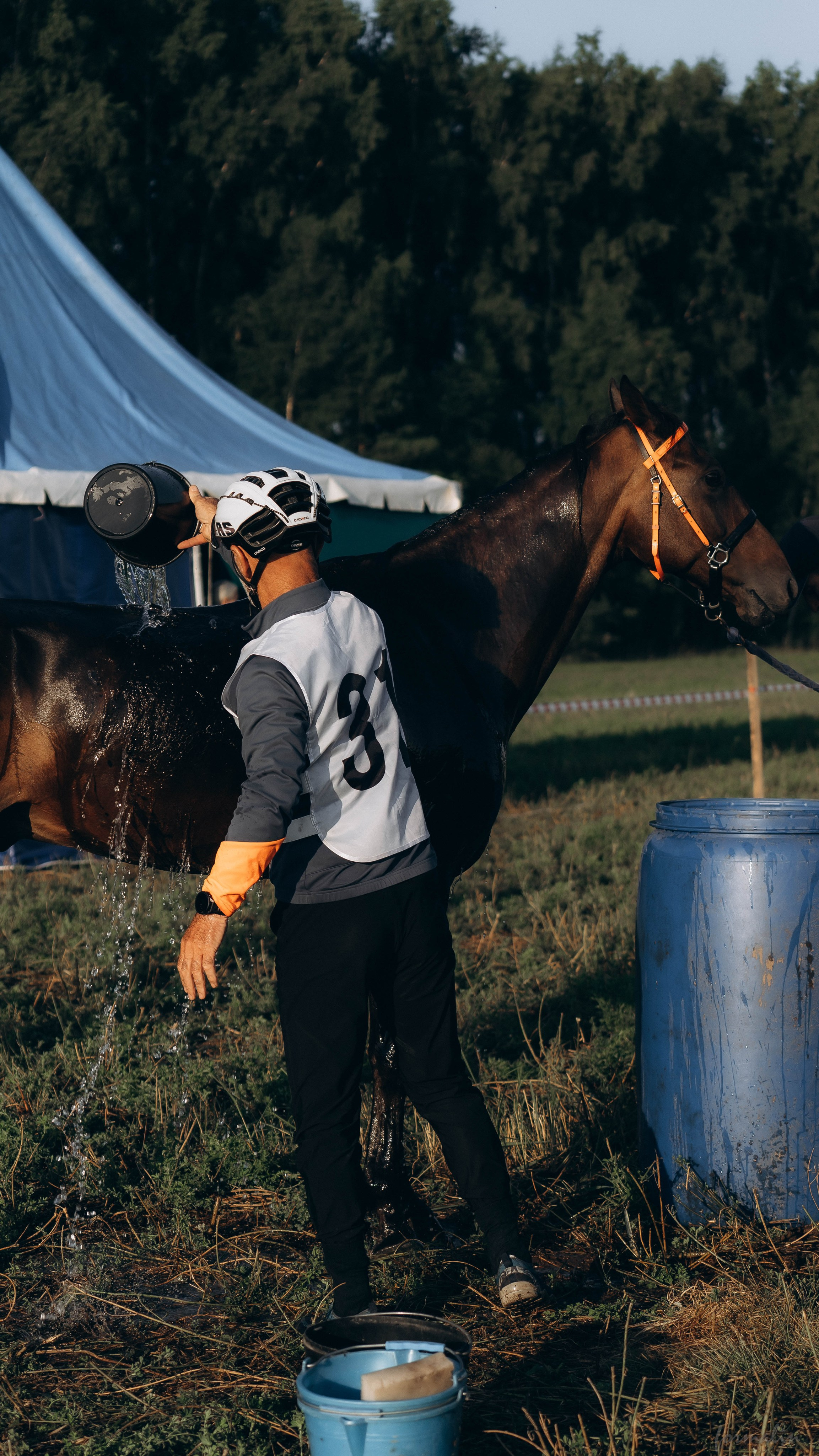 День Коня. Алиса Никитцова | Фотограф в Казани