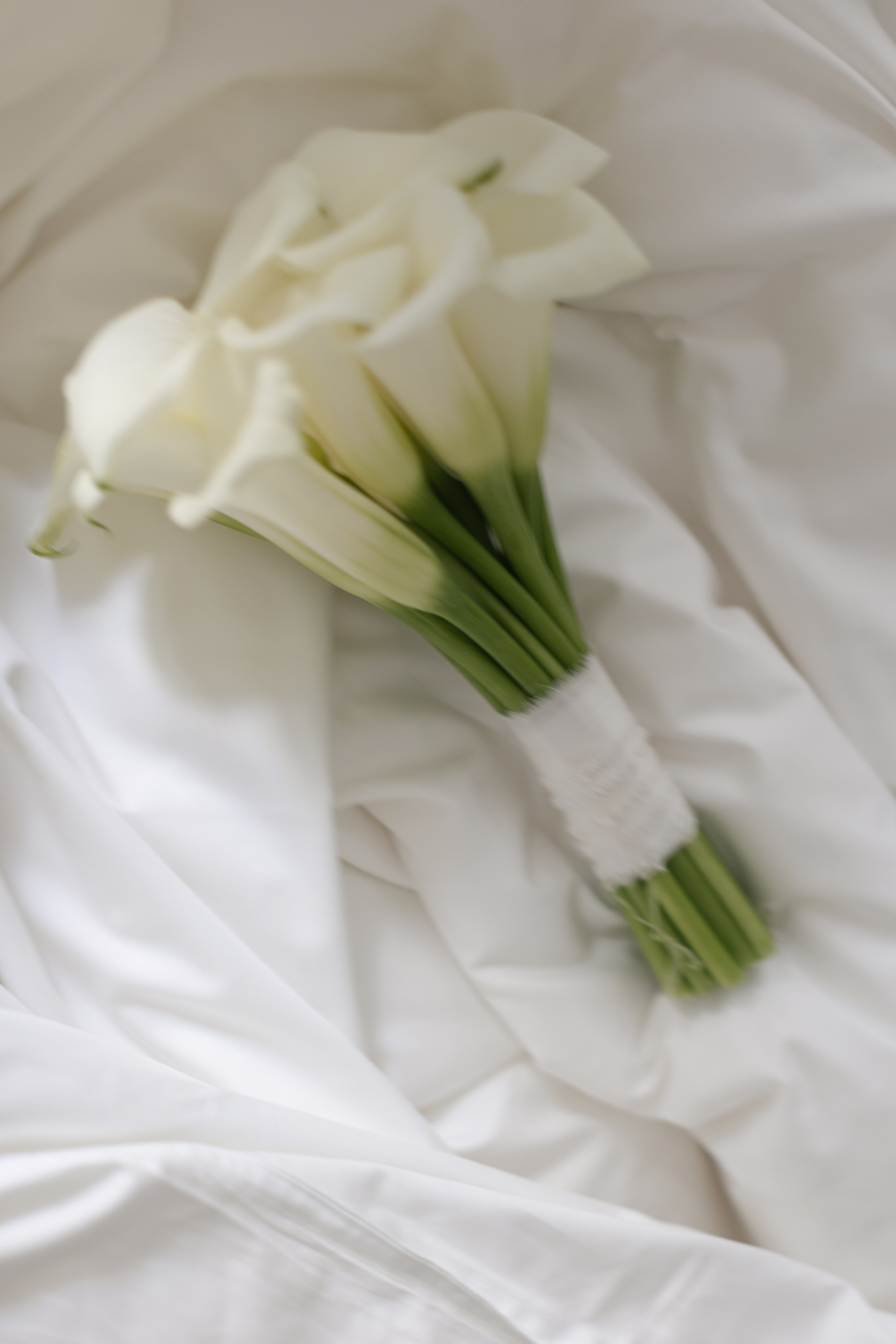 Дмитрий и Анастасия. @dariazphoto свадебный фотограф