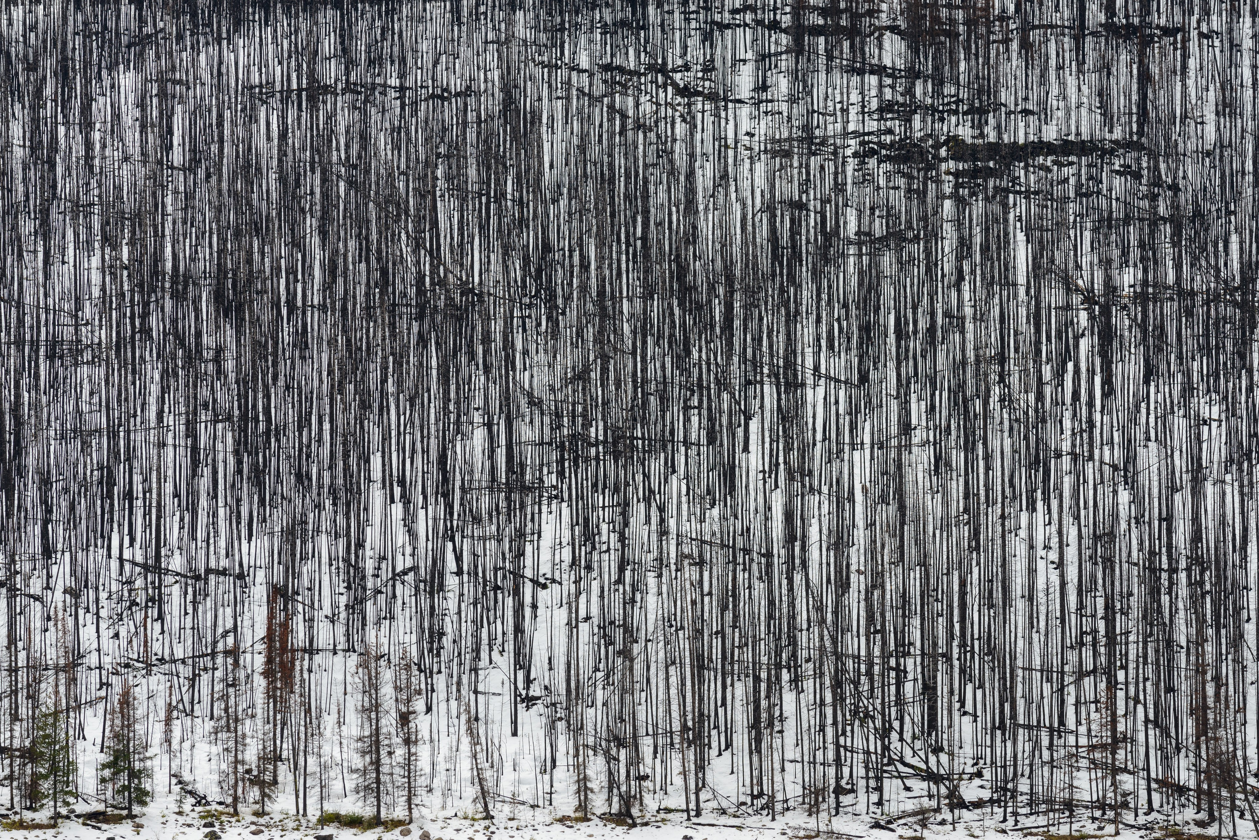 Осень в Канаде. Пейзажный фотограф Сергей Пестерев. Фото природы