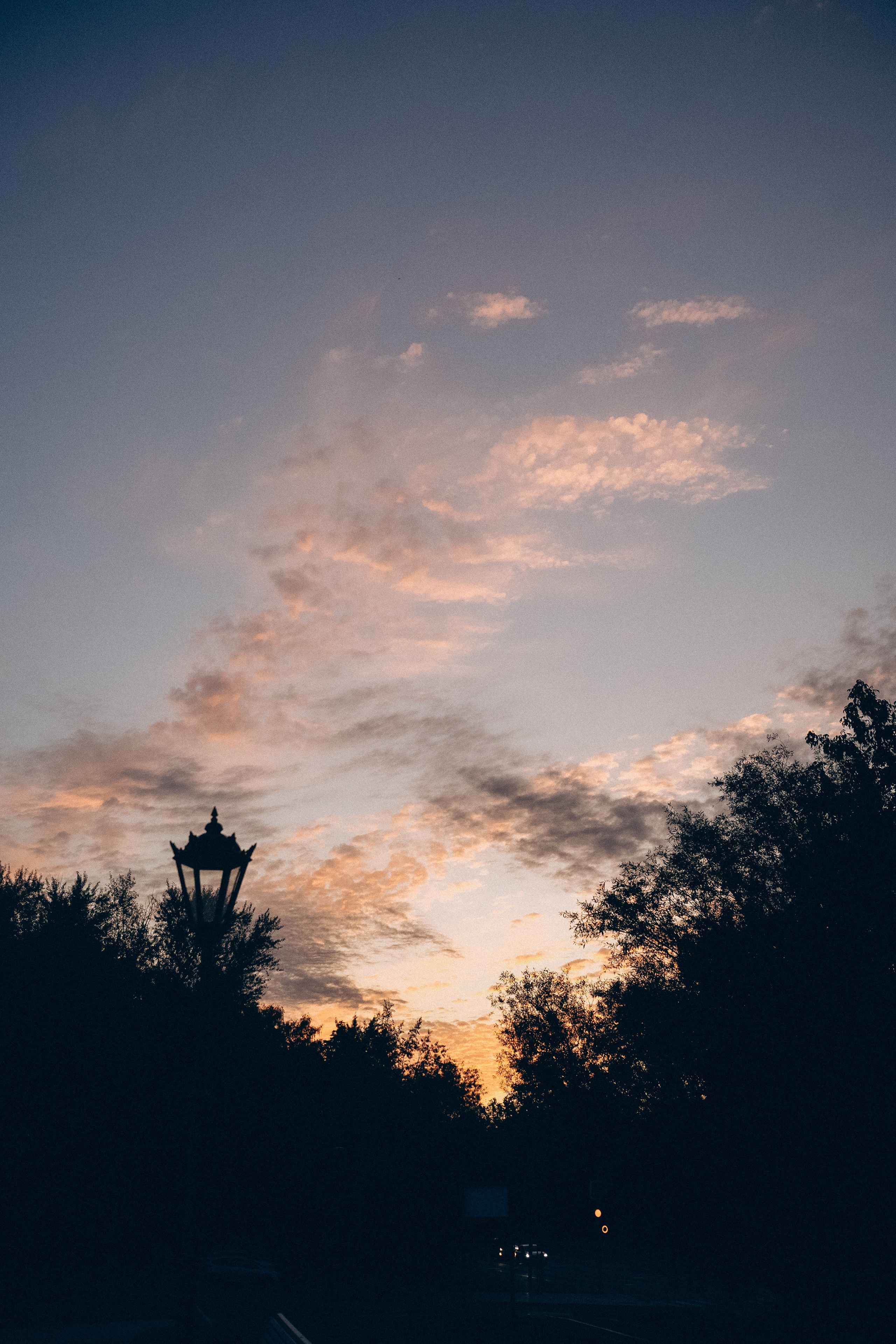 Мария и Вегас. Фотограф анималист в Москве и Санкт-Петербурге Свиридова Анна