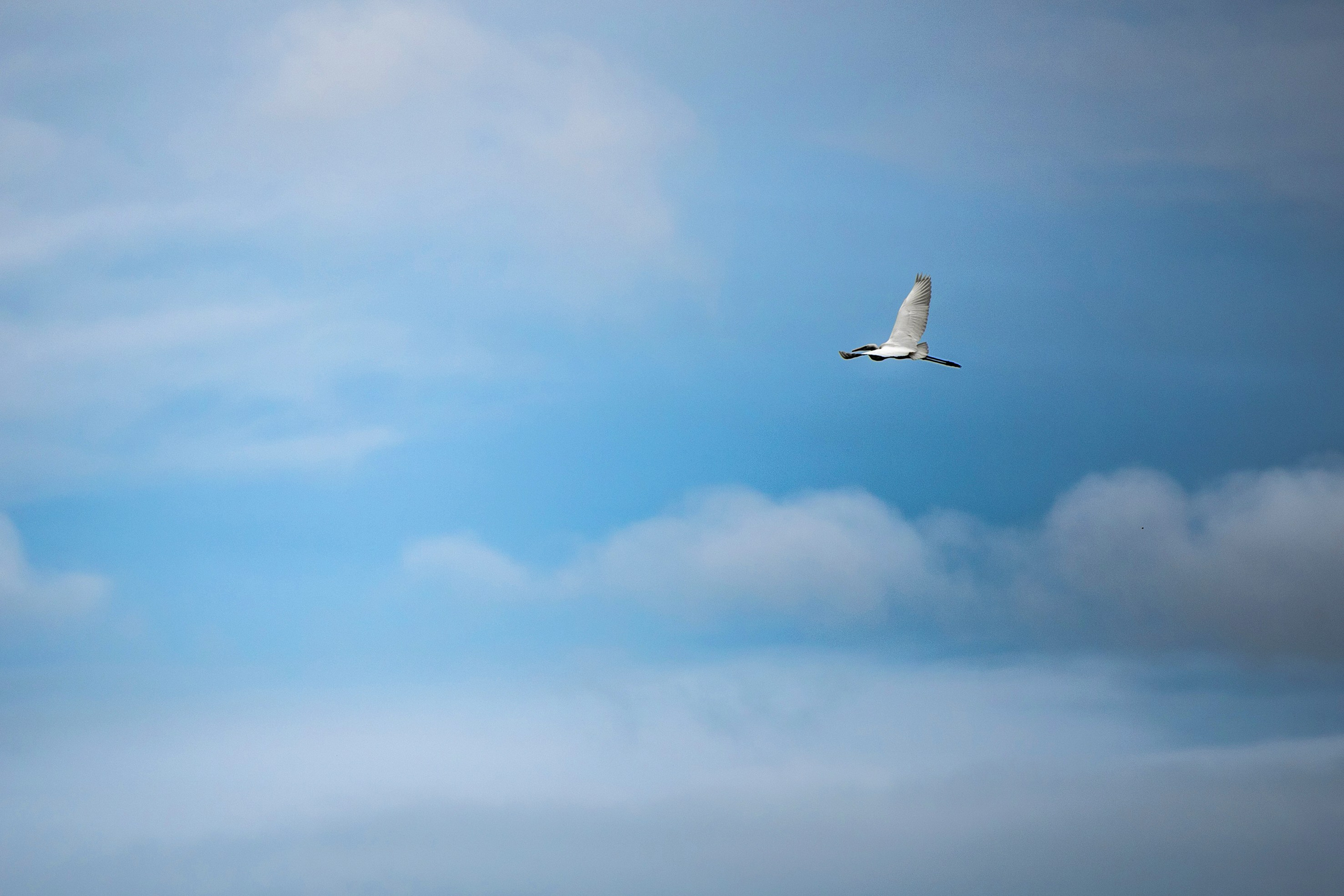 Природа Хабаровского края. Команда фотографов Кристины Ивановой