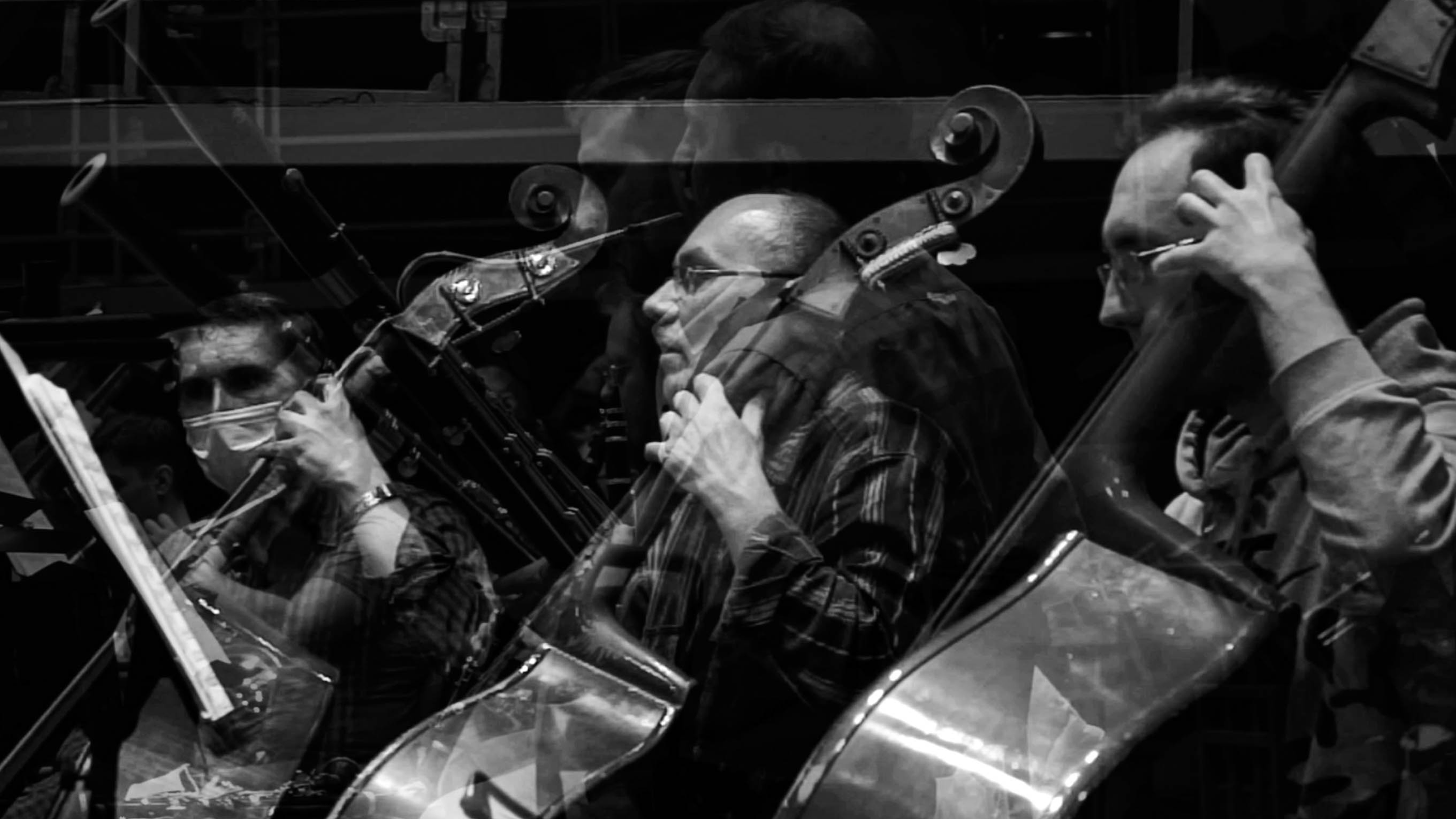 Vivo: музыка есть жизнь / Vivo: music is life. Кир Анисин. Режиссер & фотограф