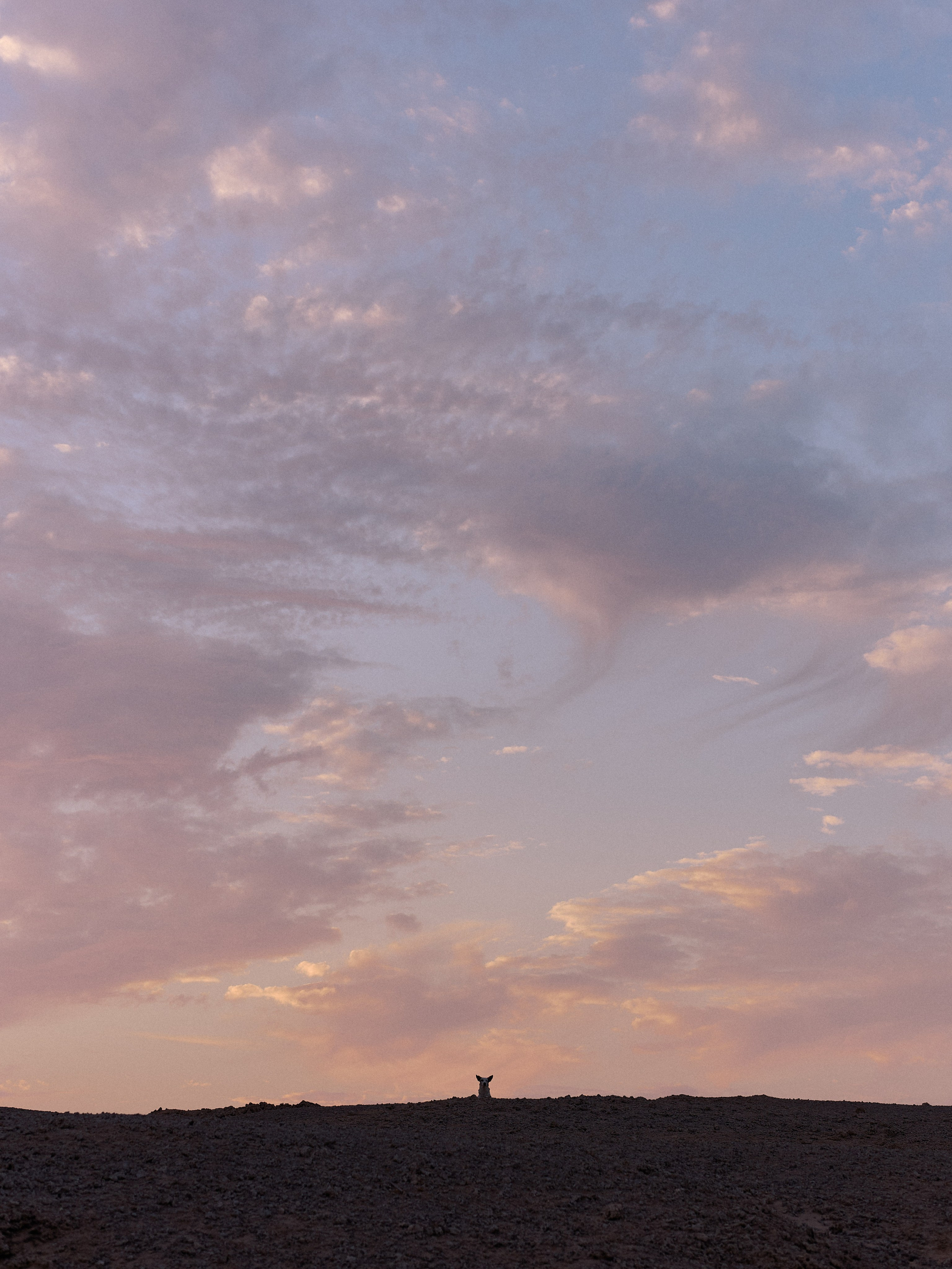 Другое 4. Jorgis — фотограф в Хургаде / обучение фотографии