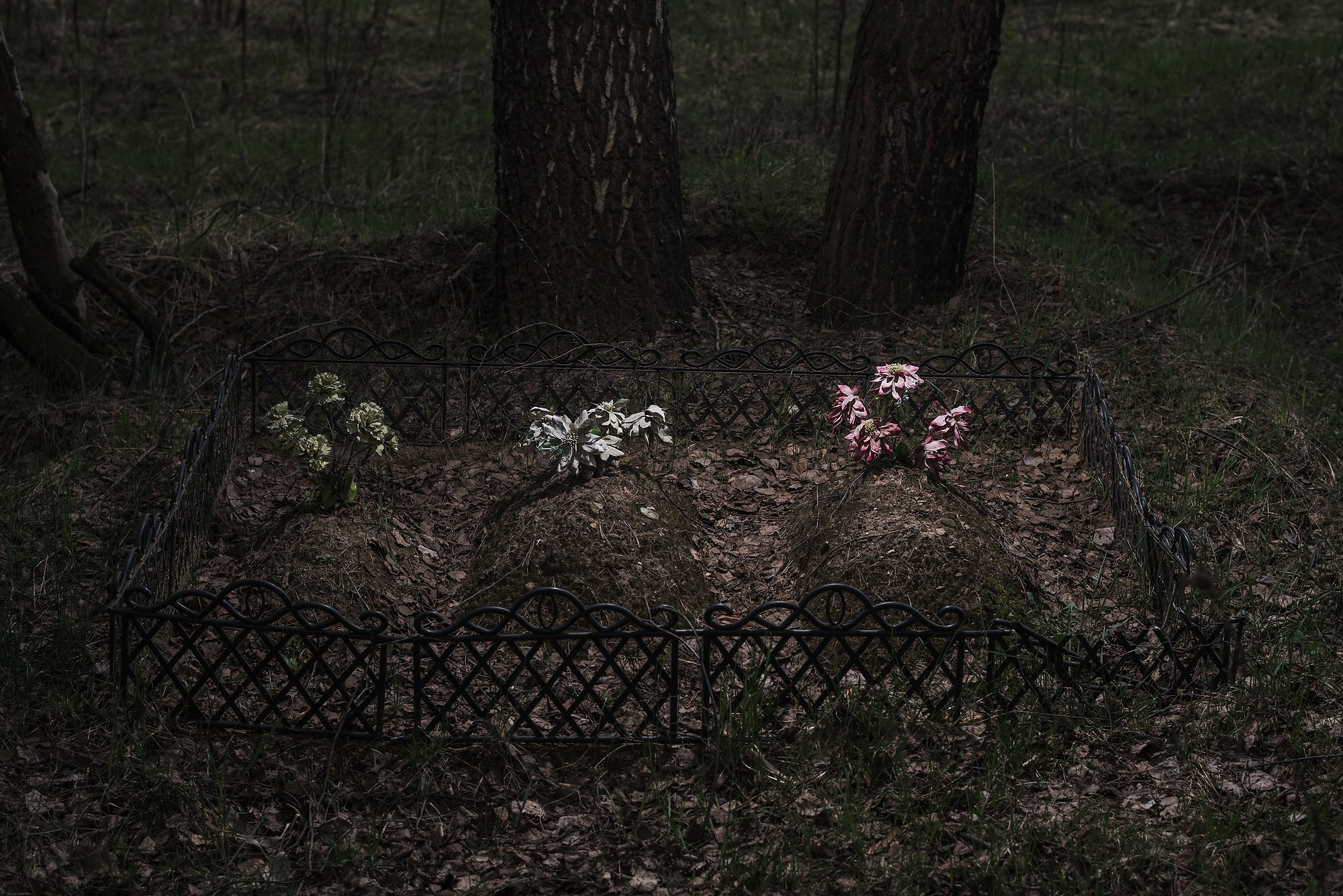 Кладбище домашних животных. Промышленная и репортажная фотография