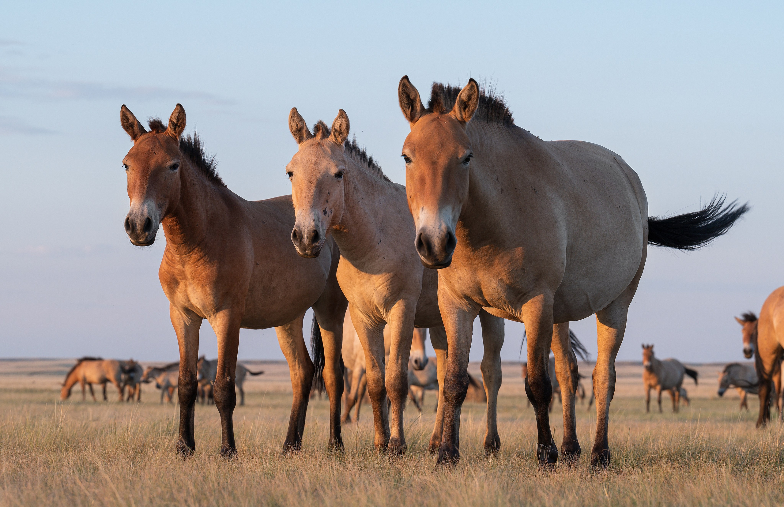Оренбуржье. Портретный фотограф в Челябинске Катерина Руди