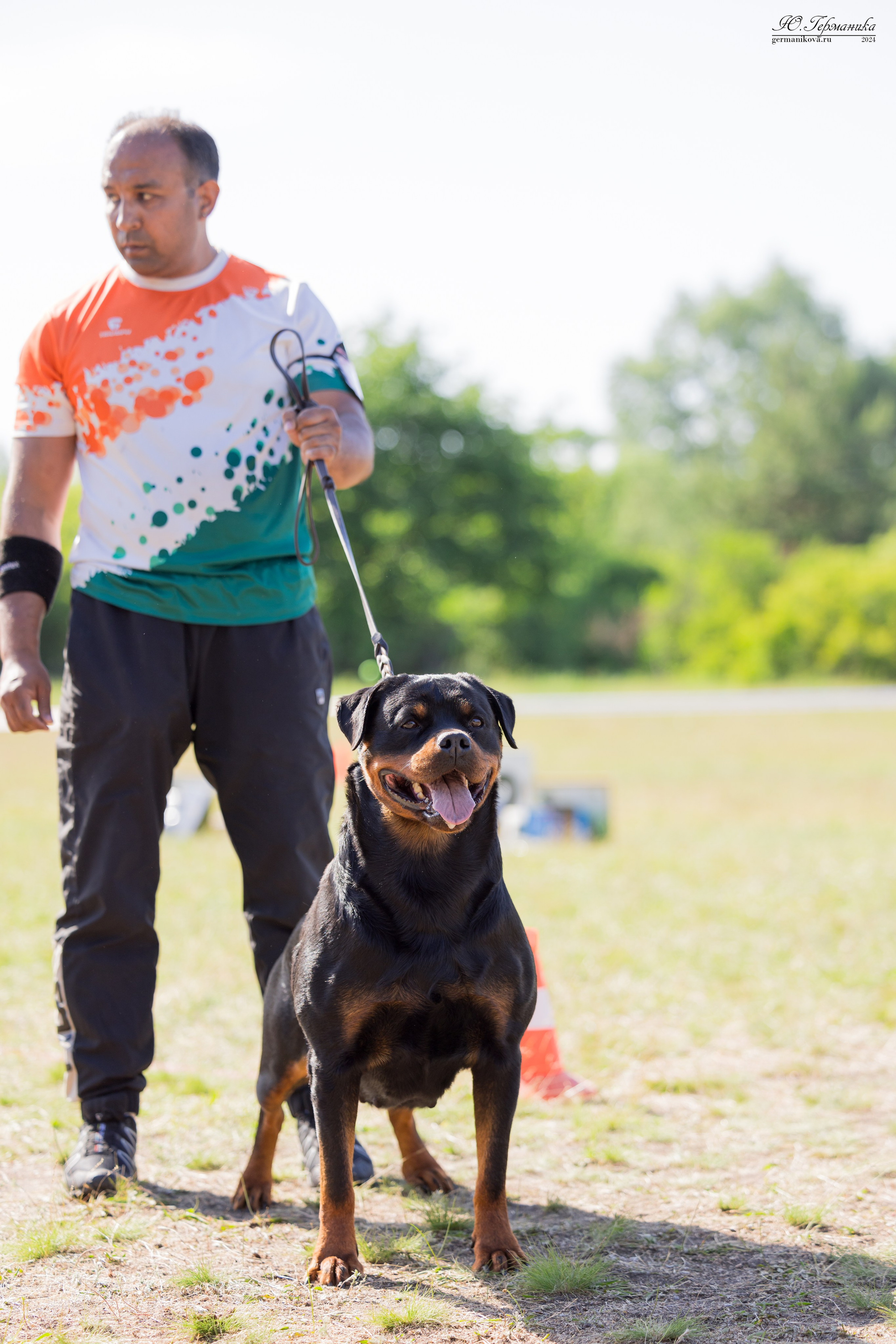 Воронеж моно ротвейлеров 25-26.05.2024. Фотограф-анималист Юлия Германика