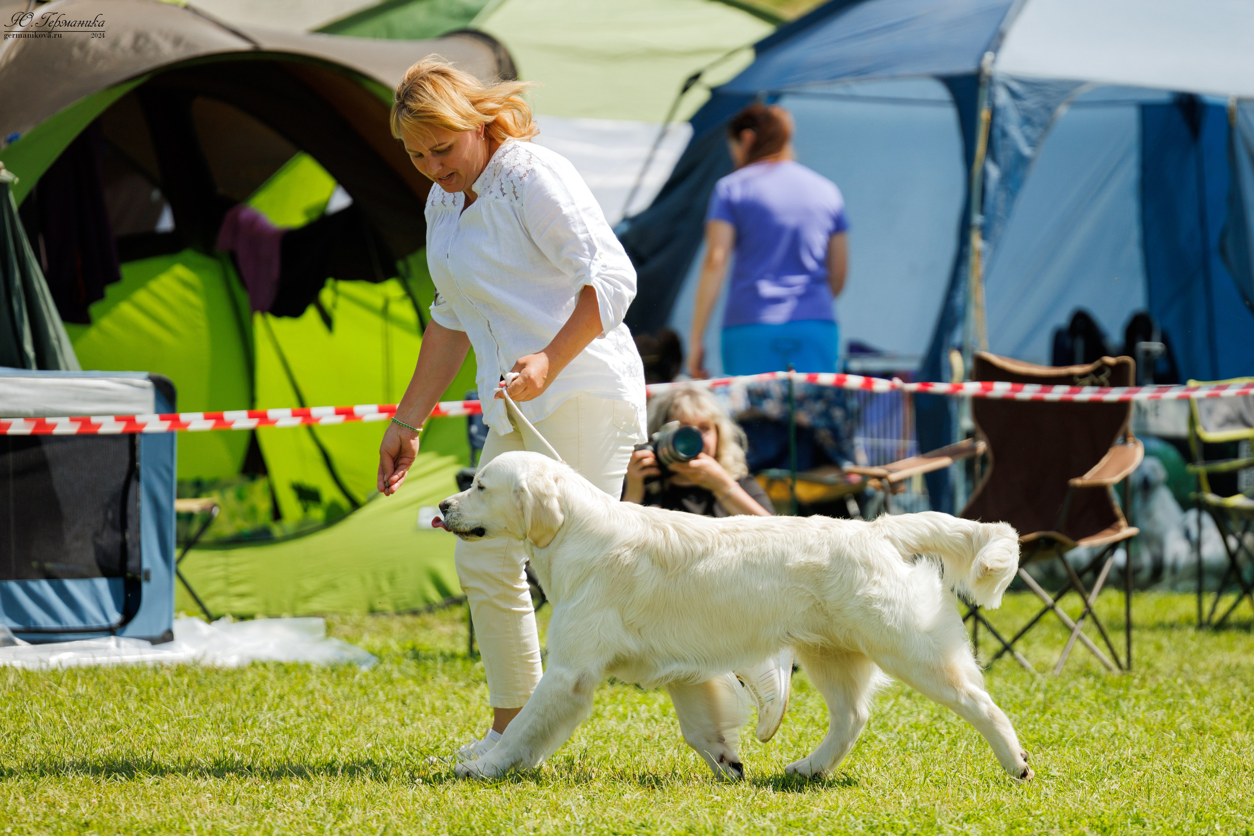 Голдены 15-16.06.2024. Фотограф-анималист Юлия Германика
